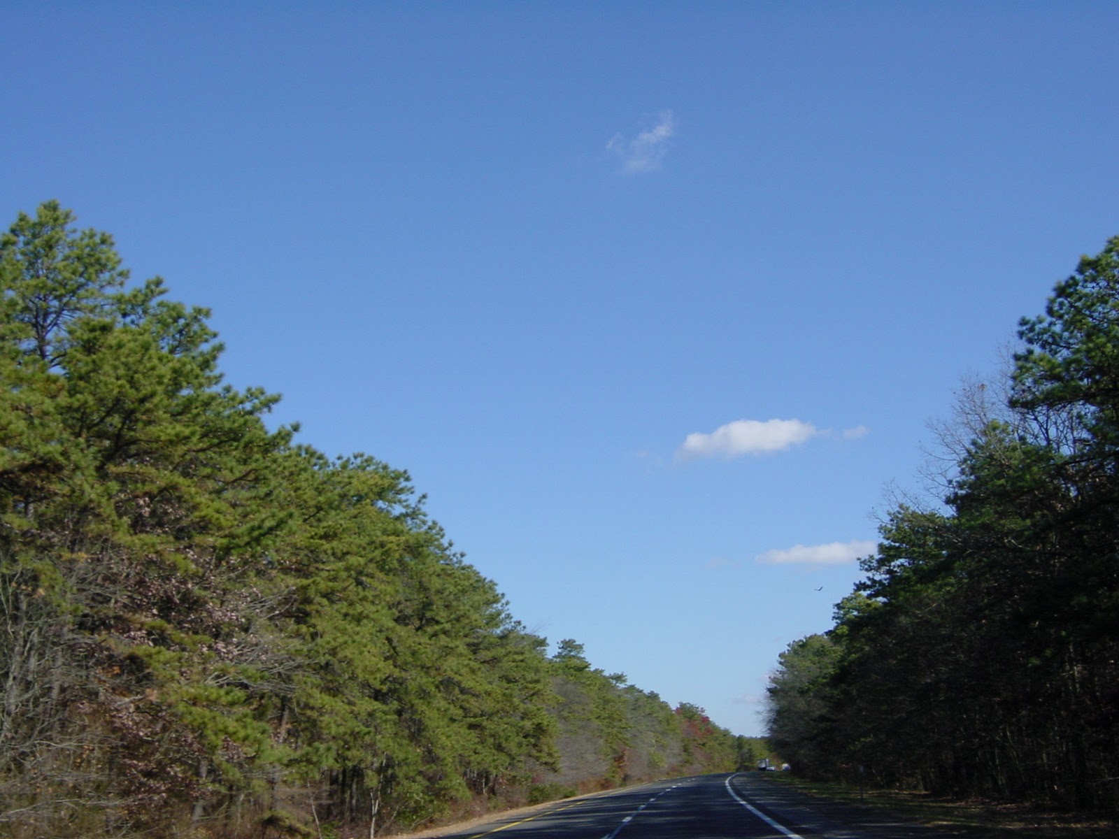 Barcelona chairs? Farago - Versace House. Vinalhaven, ME