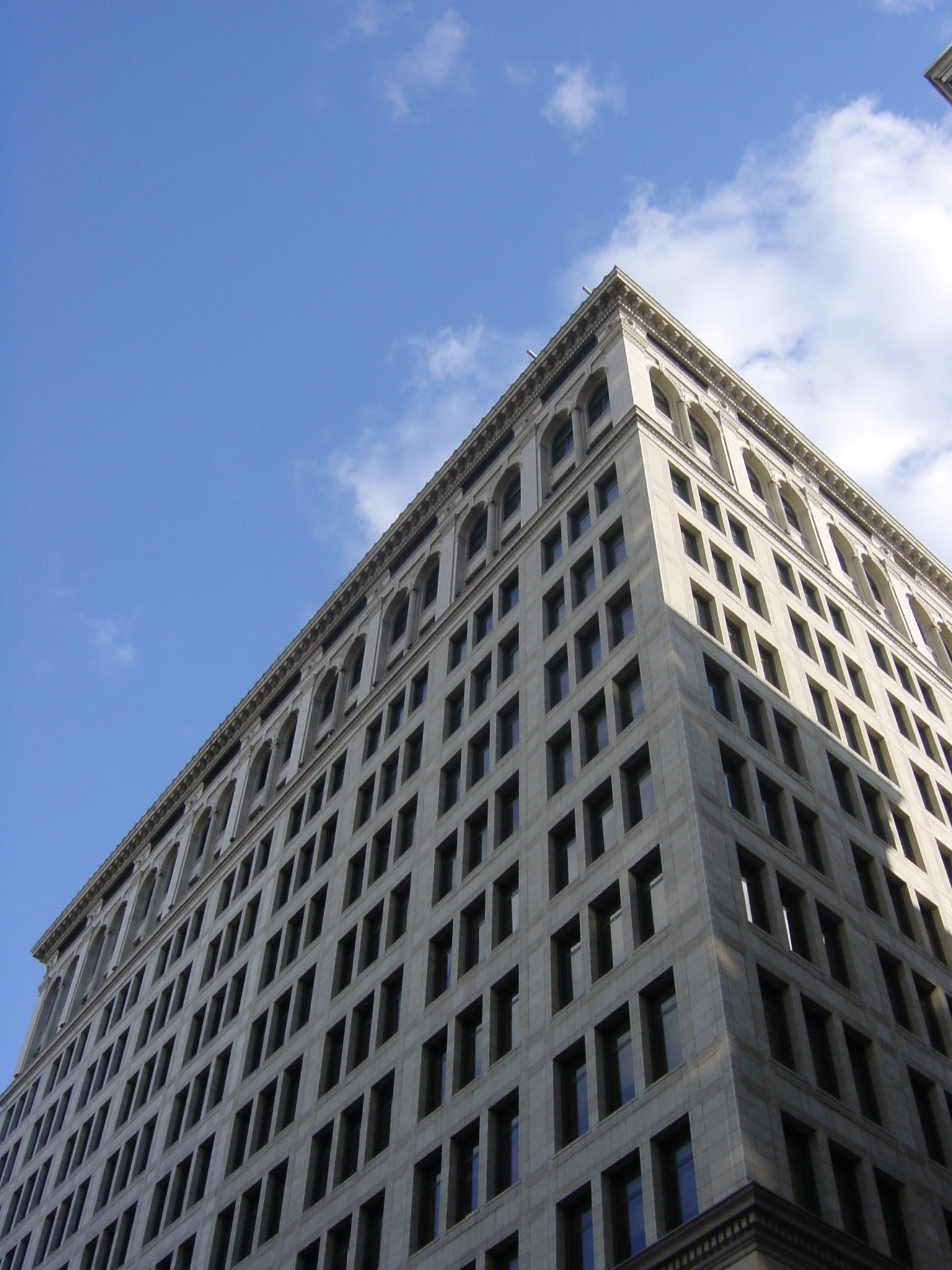 Wild Roses. Lane Nature Reserve. ME