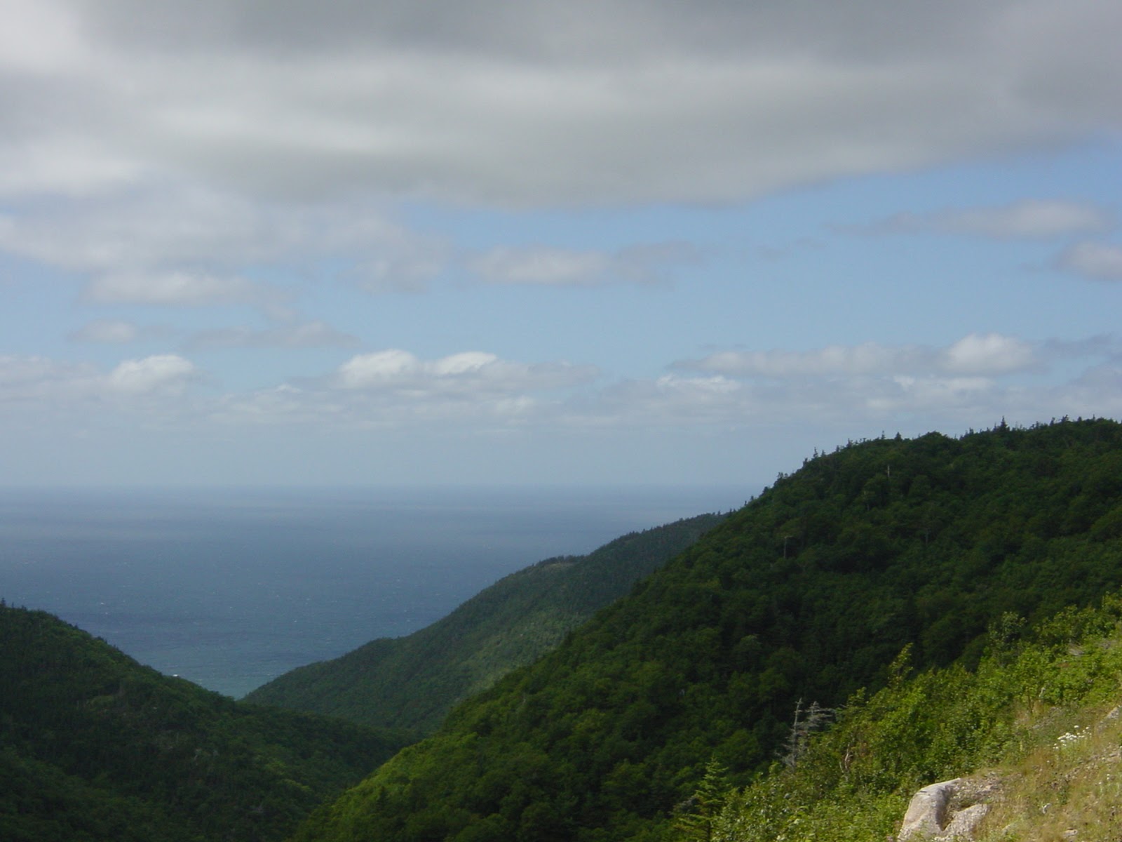 From a high point. Cape Breton, NS
