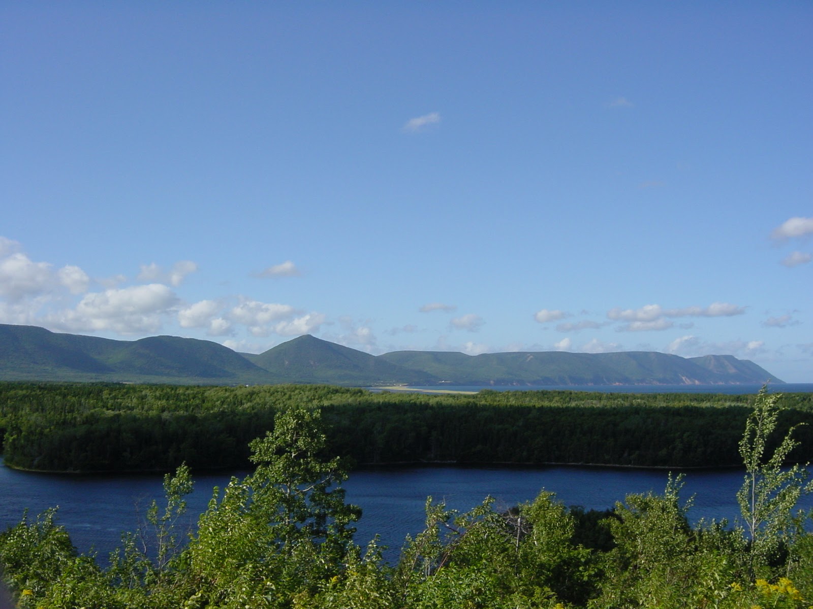 ibid. Cape Breton, NS