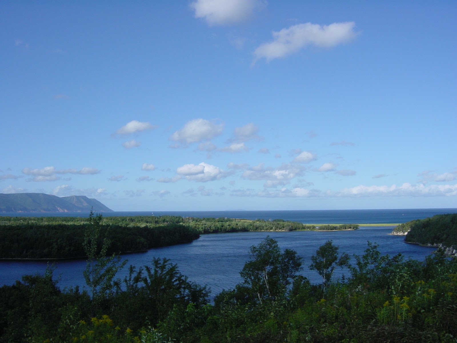 ibid. Cape Breton, NS