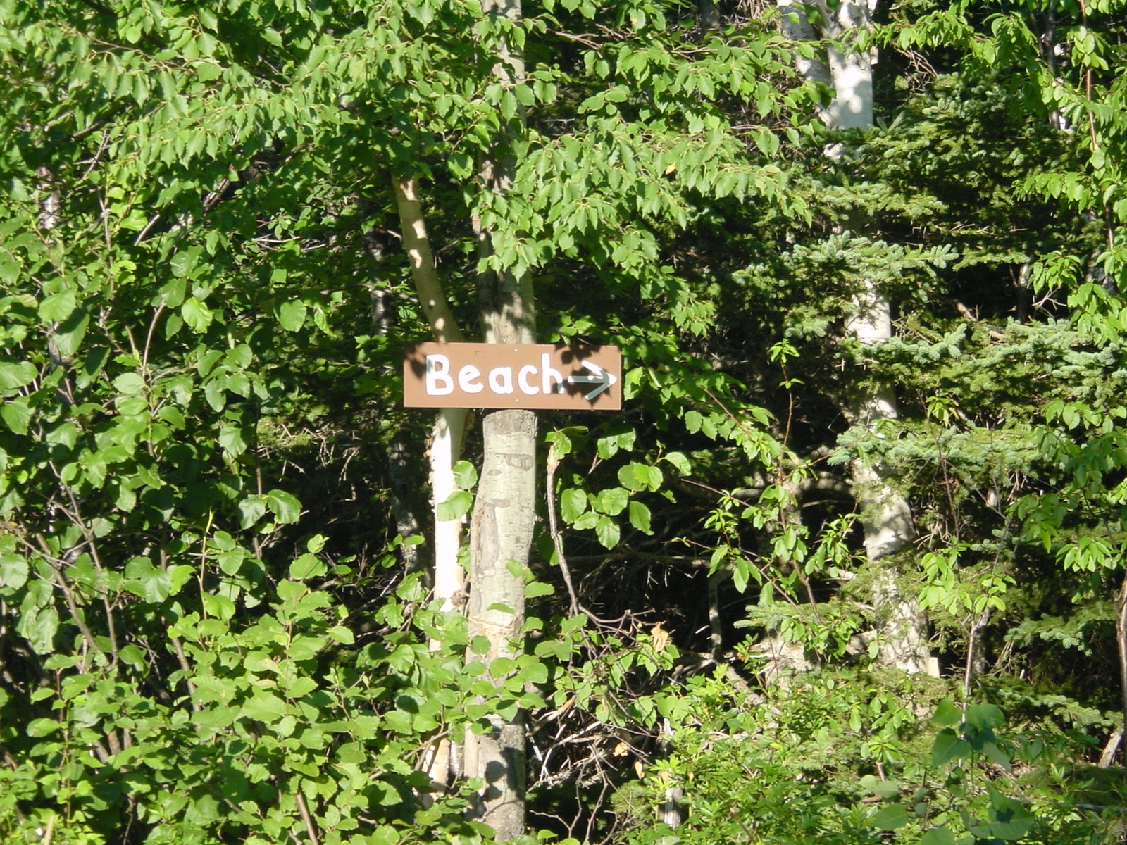 Sign. Cape Breton, NS