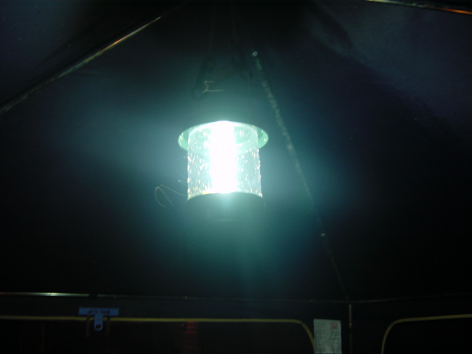 Bug Magnet. Halifax, VT