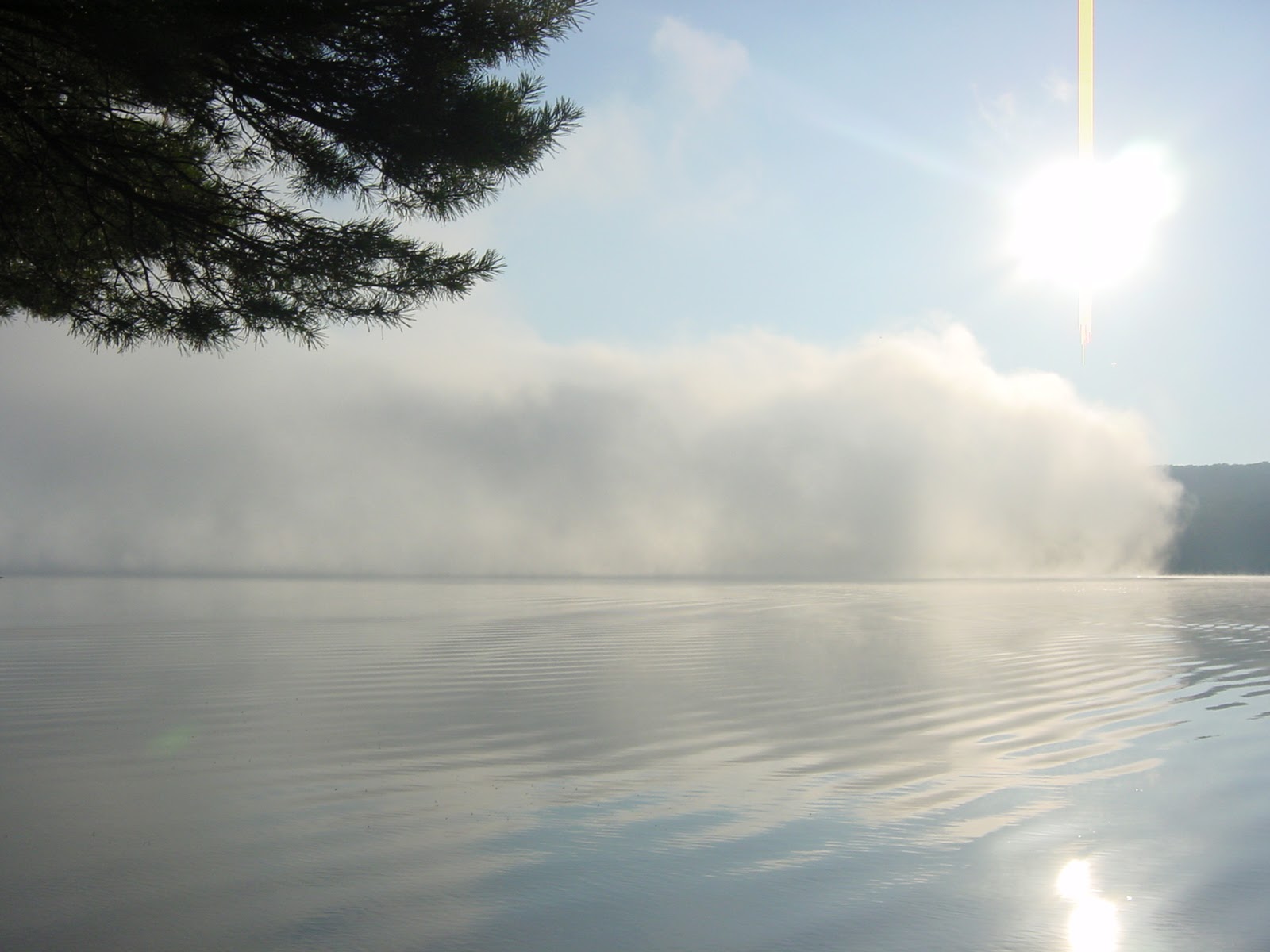 State Park. Near Coalport, PA