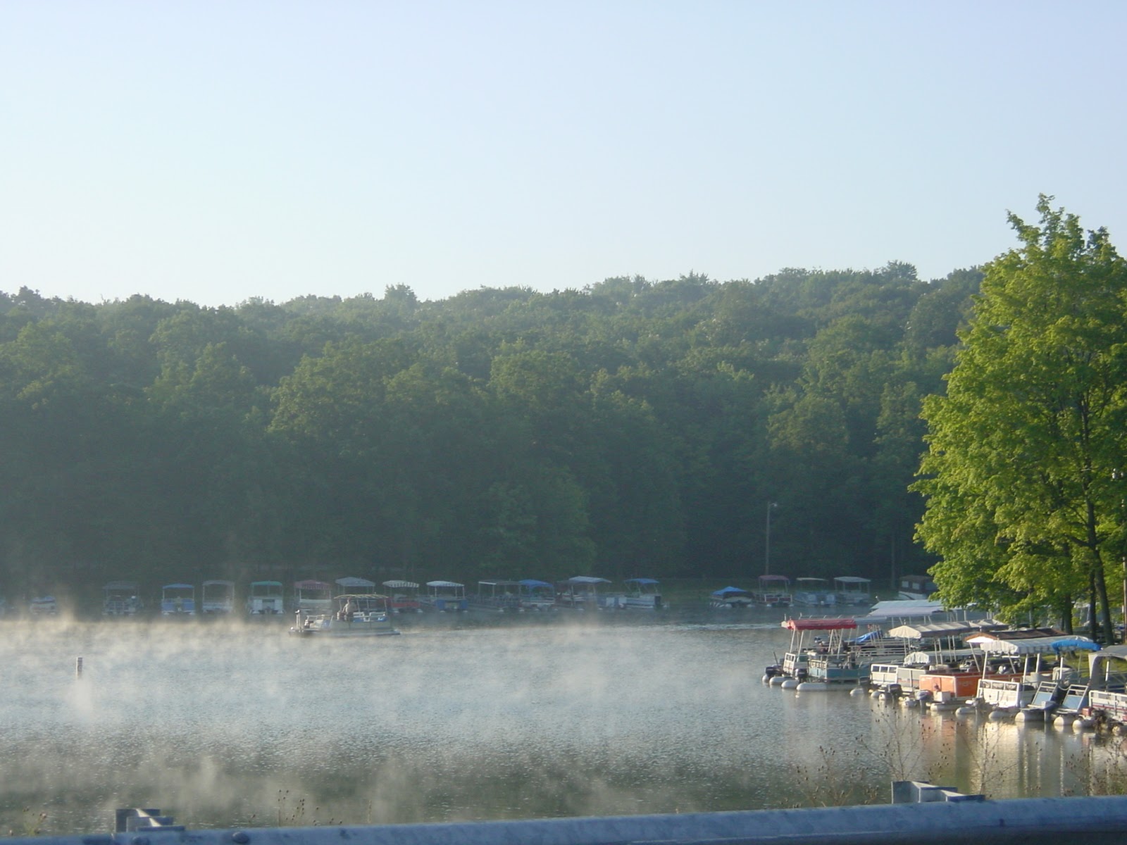 Same Lake. Near Coalport, PA
