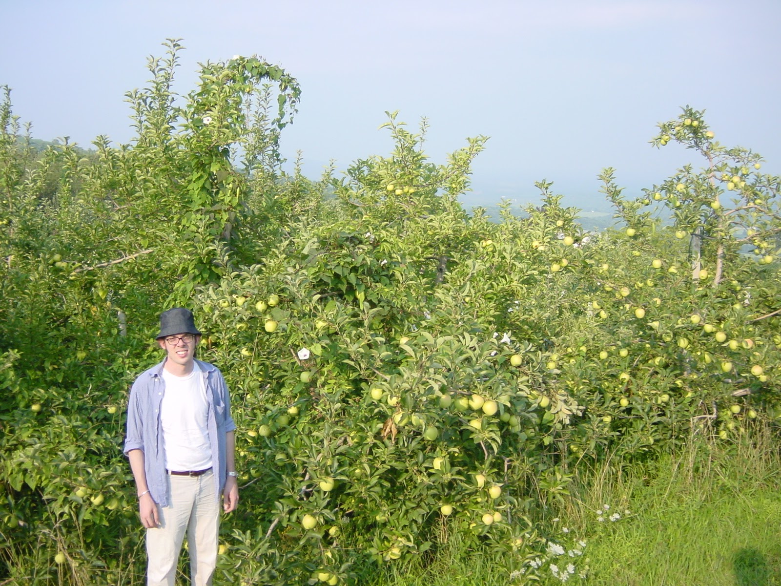 Nicholas de Monchaux. In the Orchard.