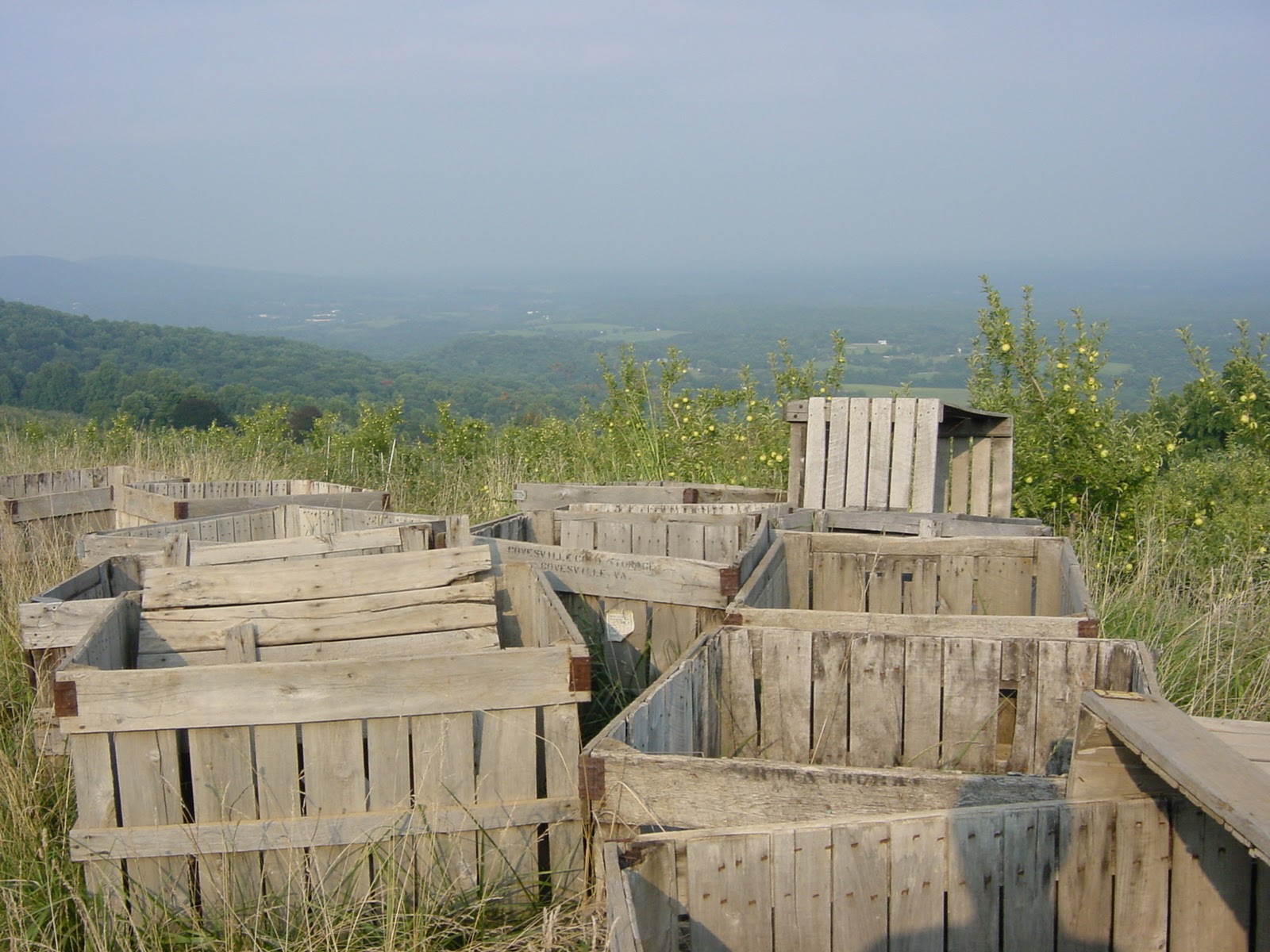 Crates. Looking East.
