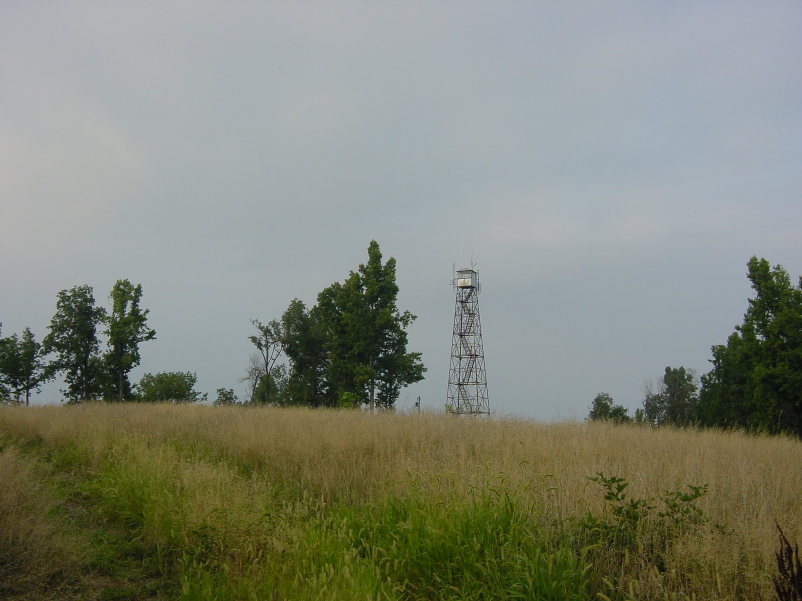 Tip top of the mountain top. Near Charlottesville, VA.