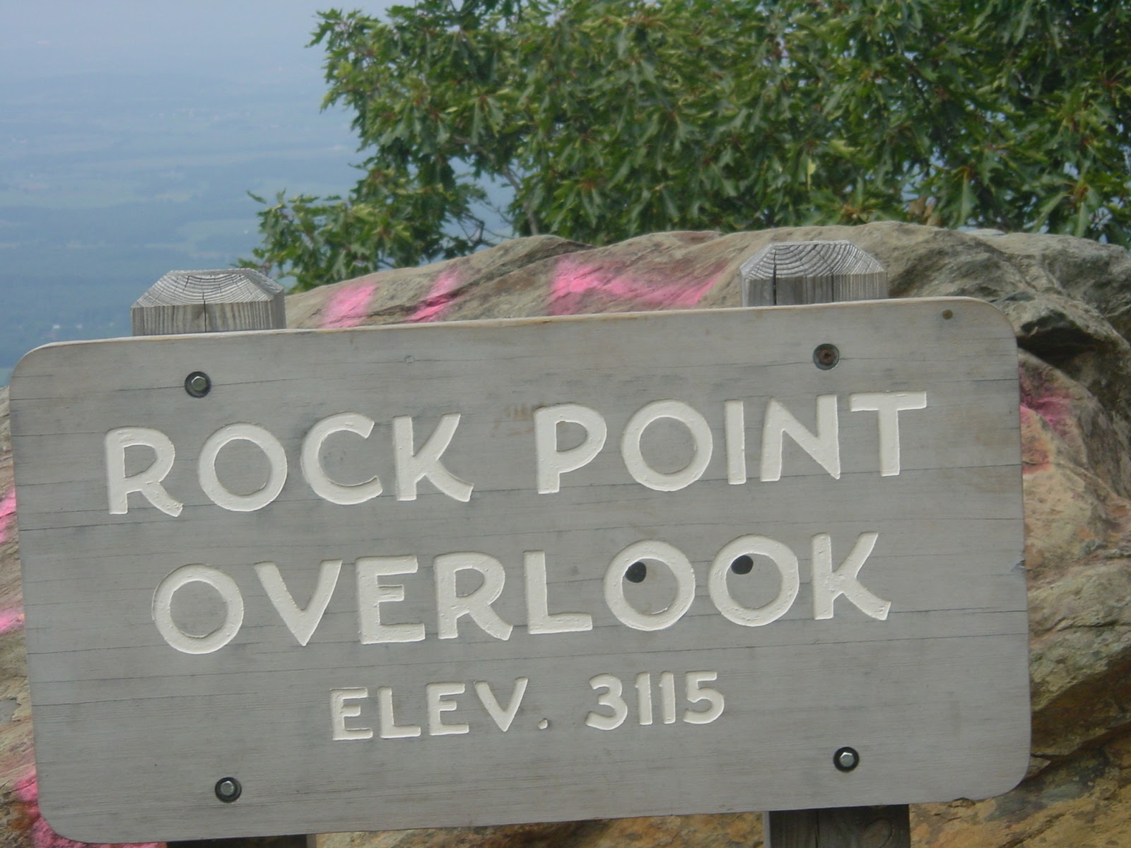 A metonymous view. Blue Ridge Parkway