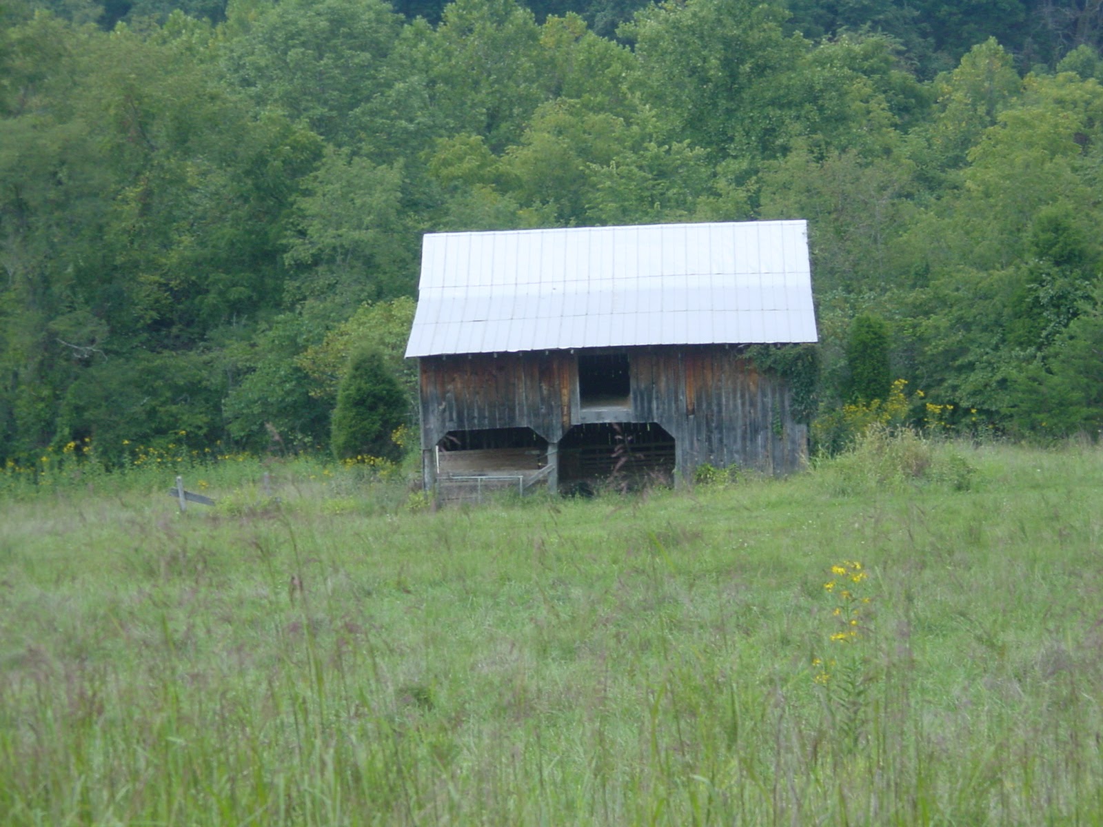 Barn. Southwestern, VA