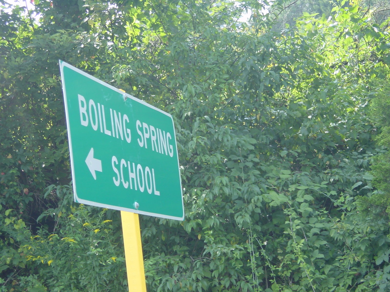 Sign. Boiling Spring. VA