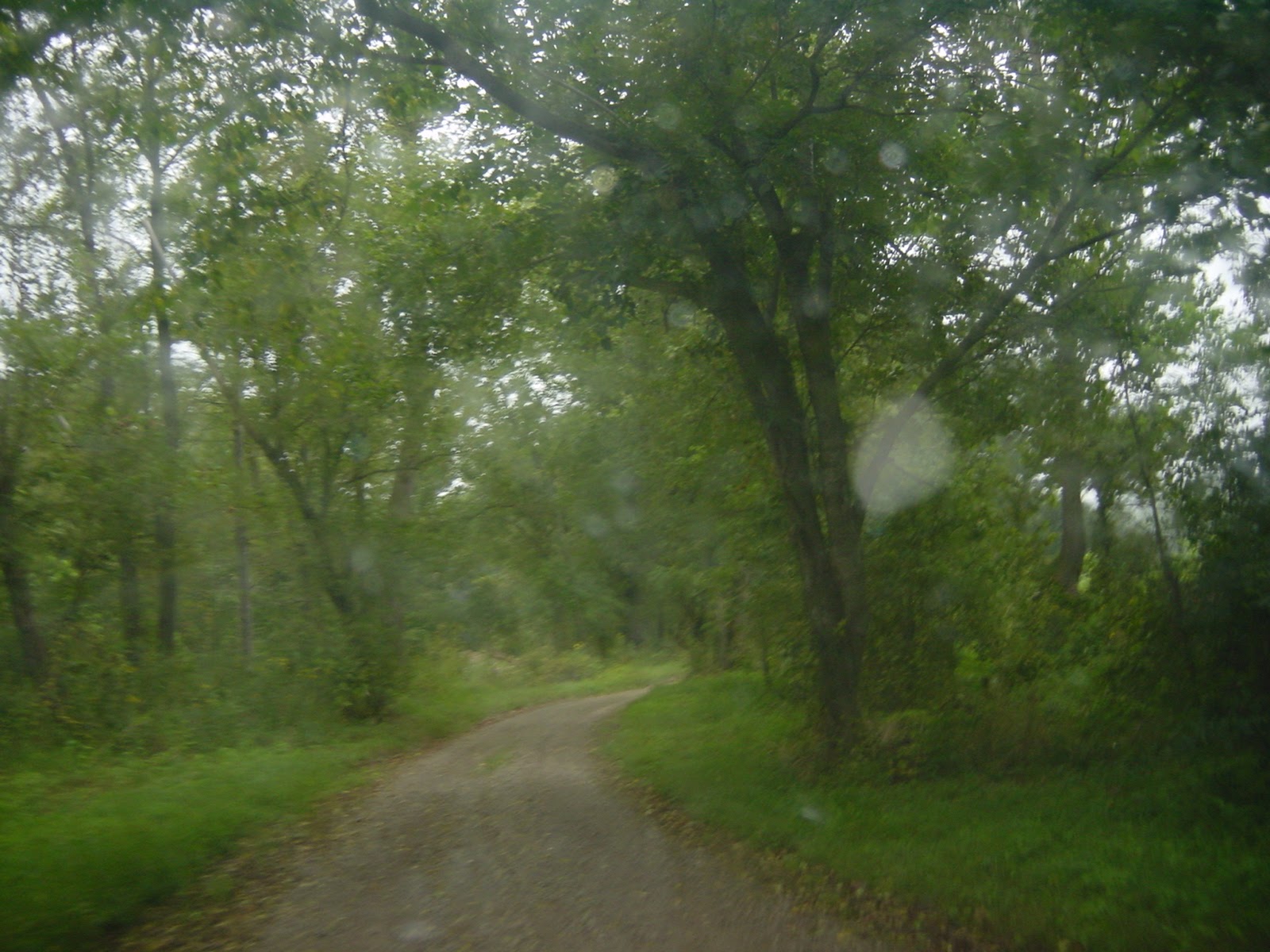 Dirt road. South Central KY