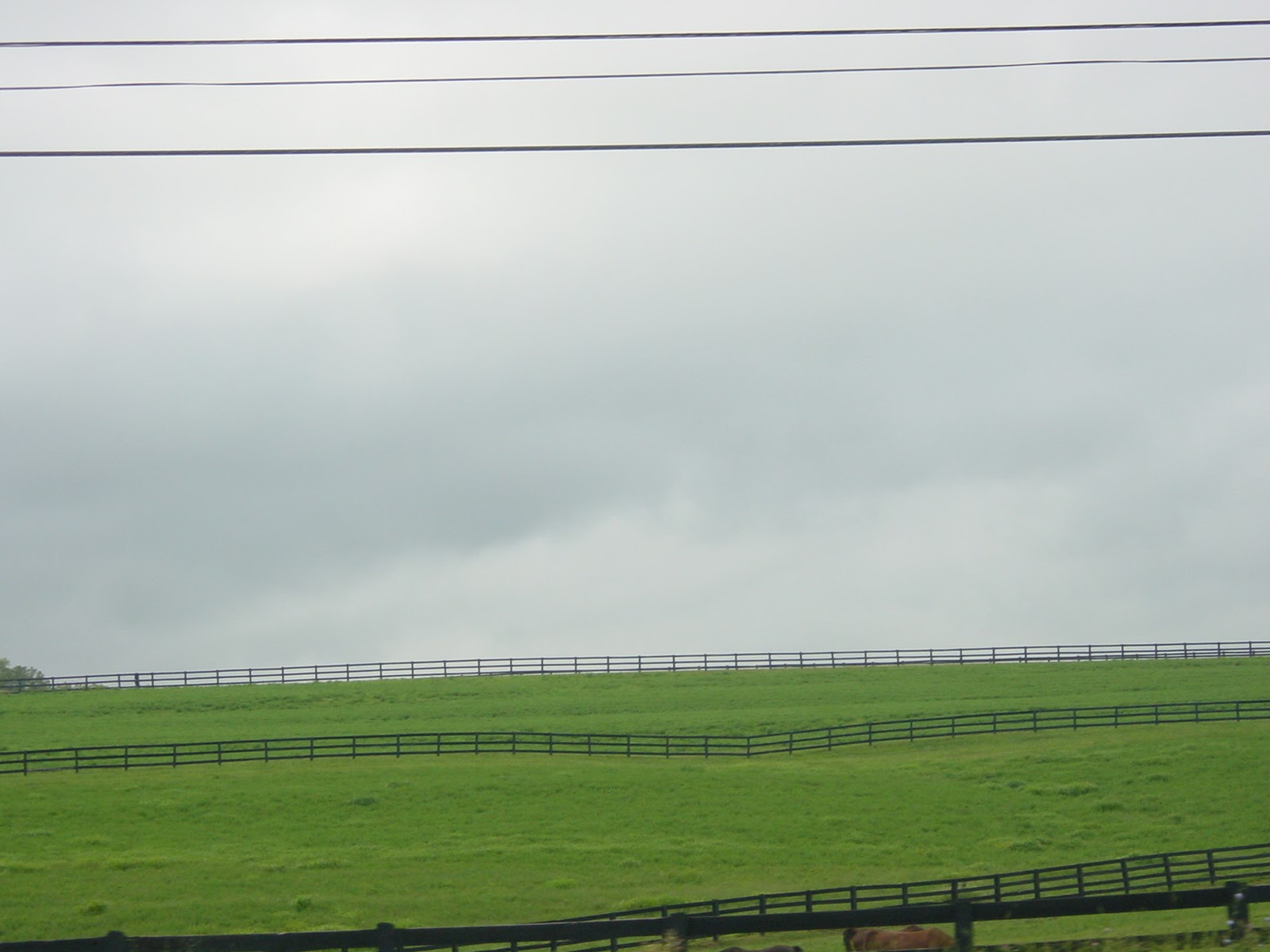 Fences. South of Danville, KY
