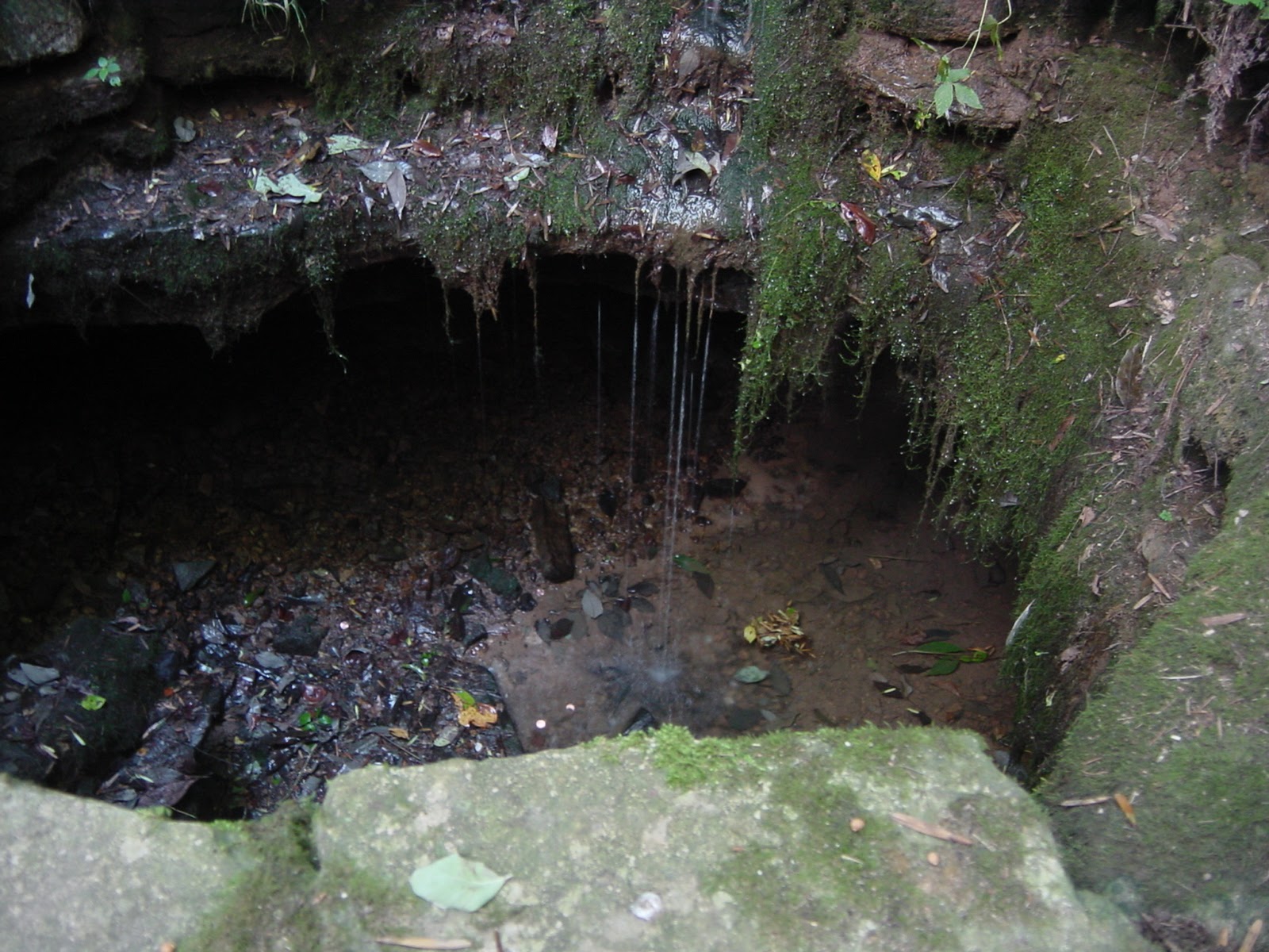 Spring Honest Abe drank from as a baby