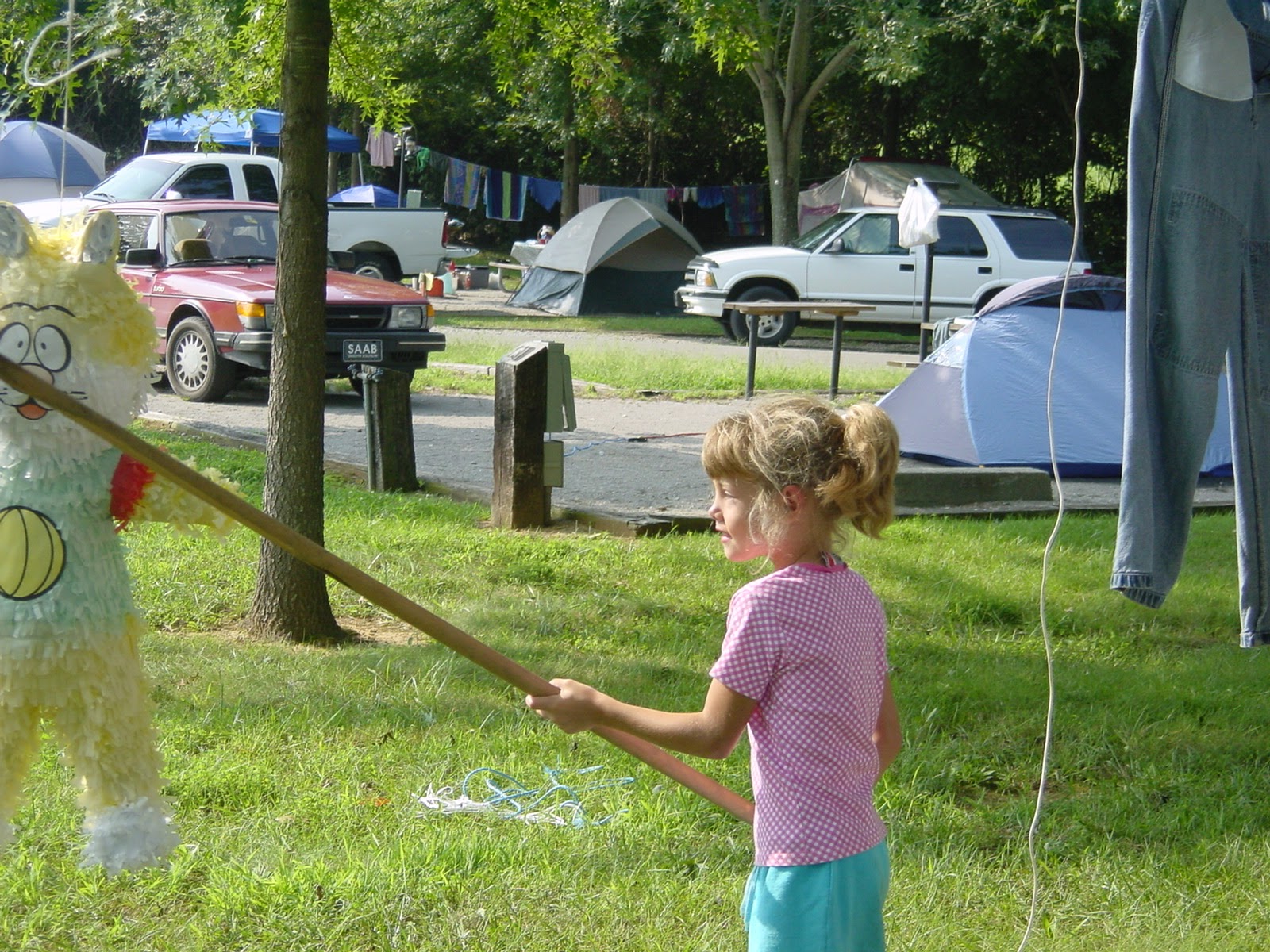 Wacking the Pinata