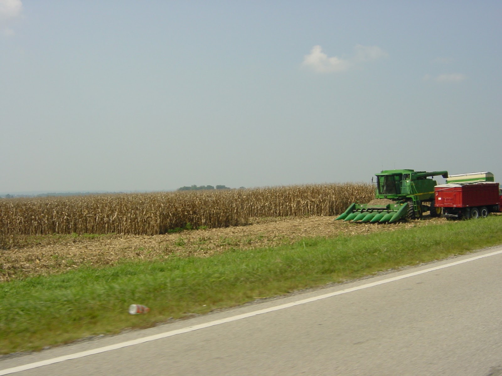 Corn picker. Banks of Mississippi