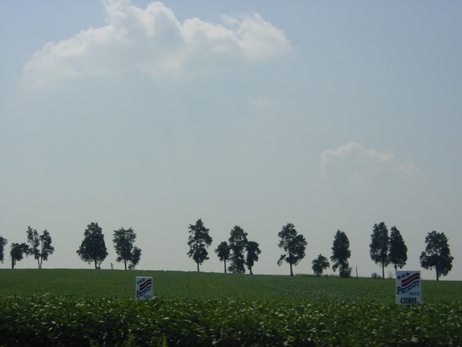 Sign. North of Chester, IL