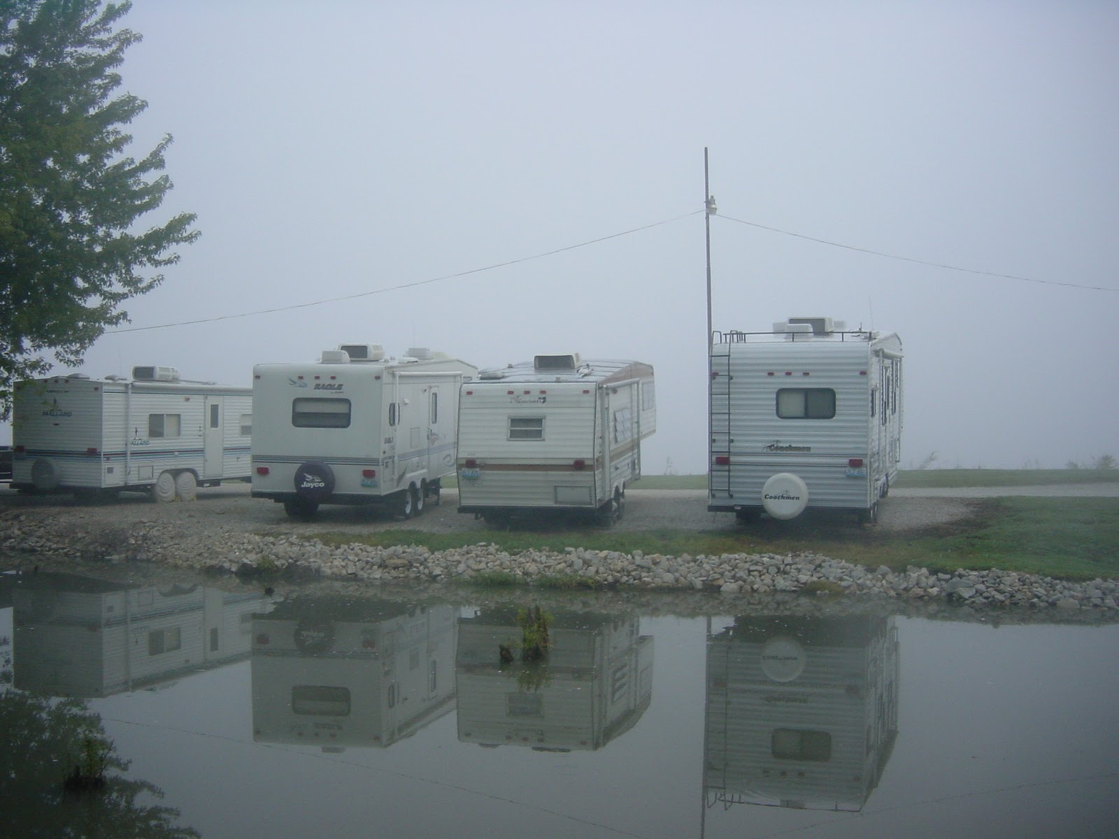 Coffee Shop. Columbia, MO