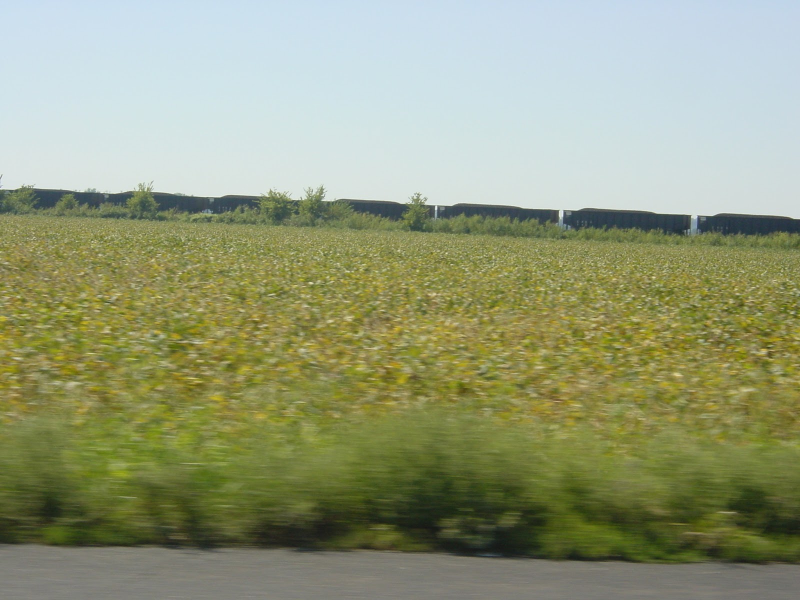 Gloaming. Downtown Omaha