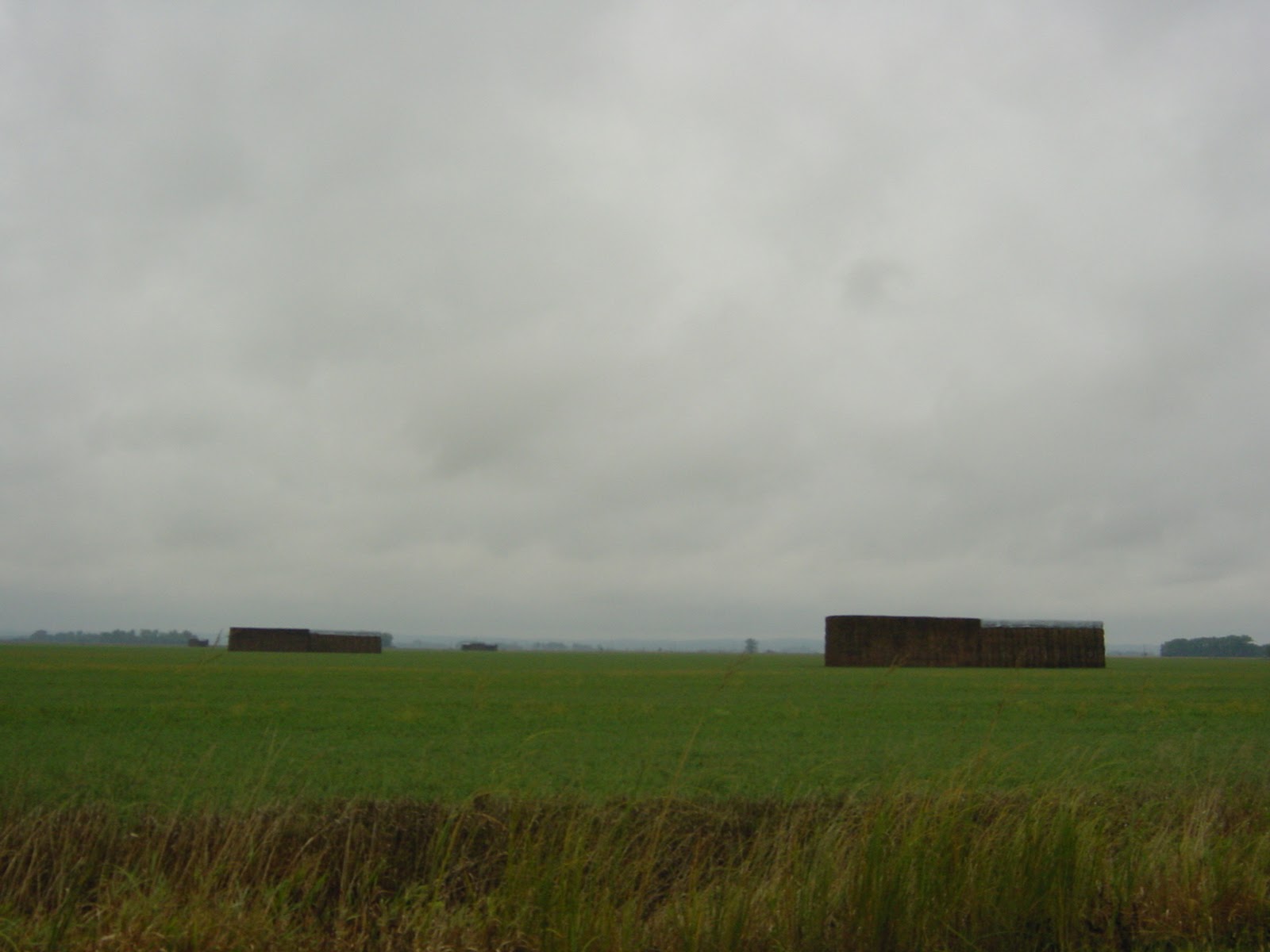 One Way to Stack Hay