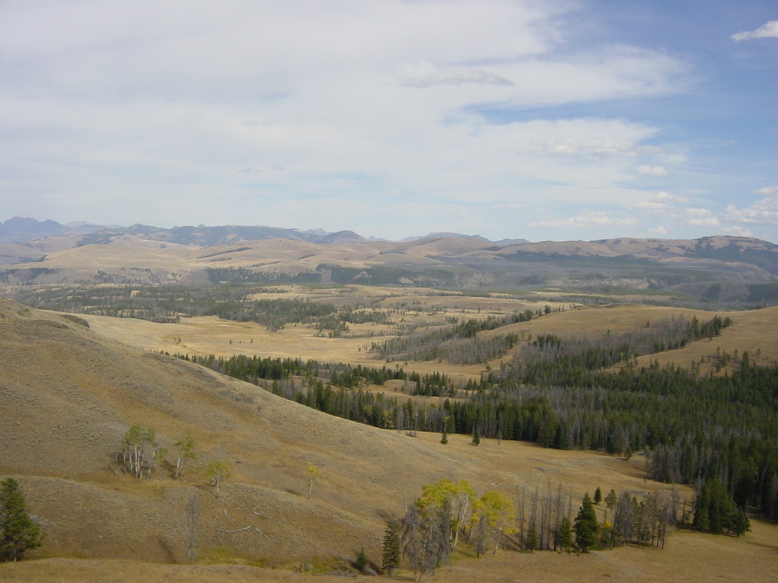 Roosevelt Country, Yellowstone