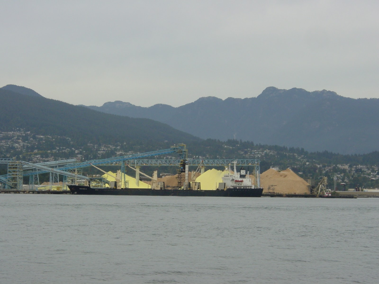What's the yellow stuff? Vancouver Harbor
