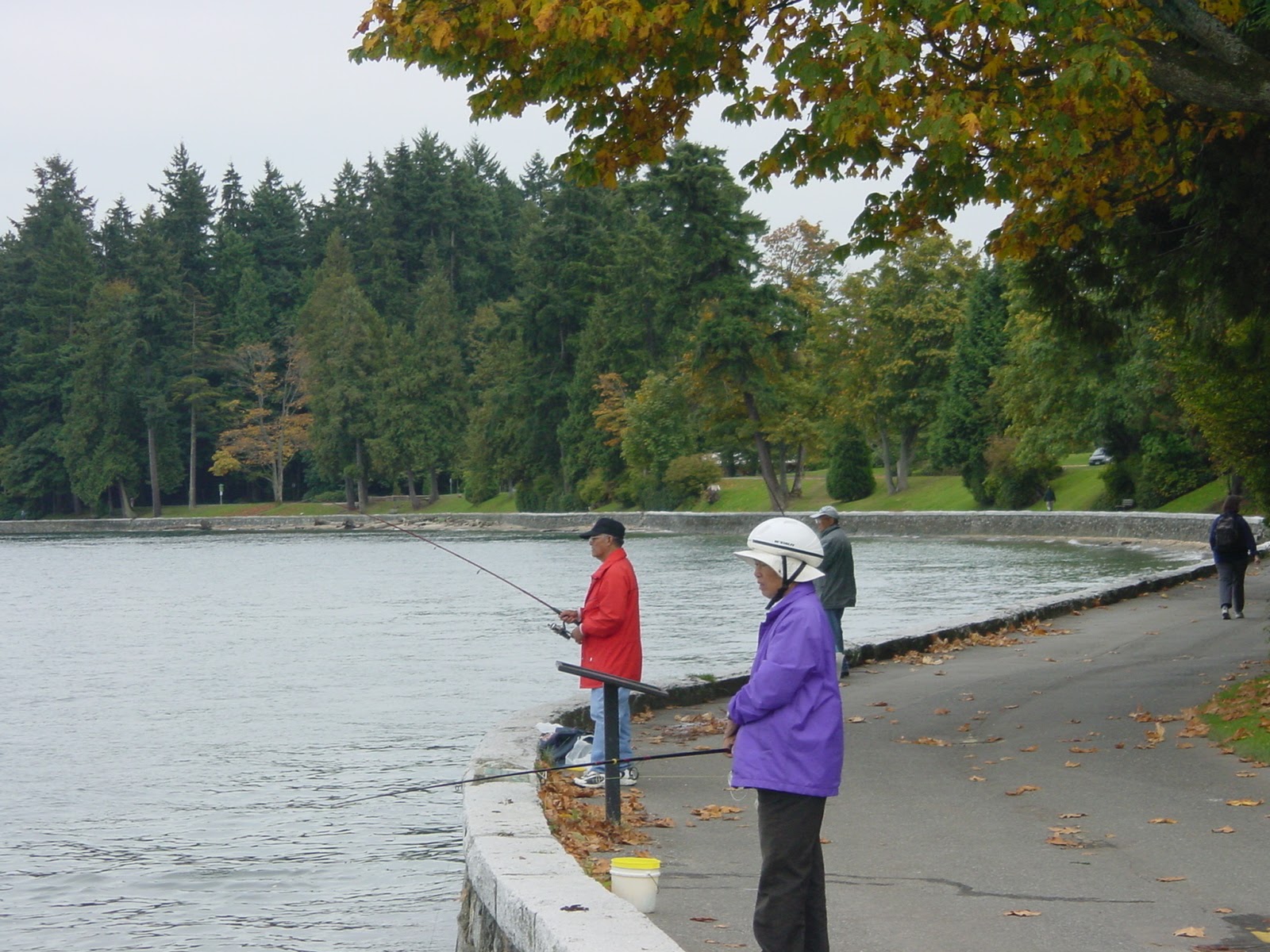Shopping for dinner. Stanley Park, Vancouver