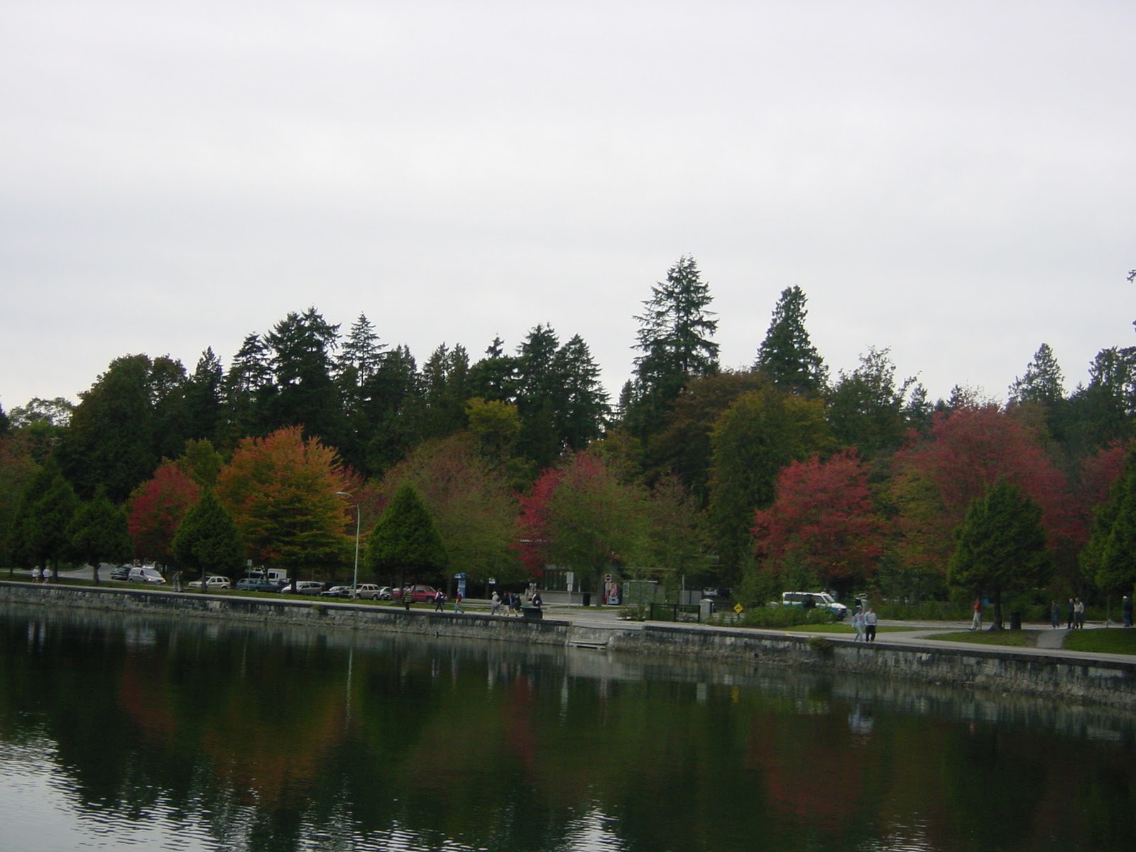 Fall foliage. Stanley Park, Vancouver