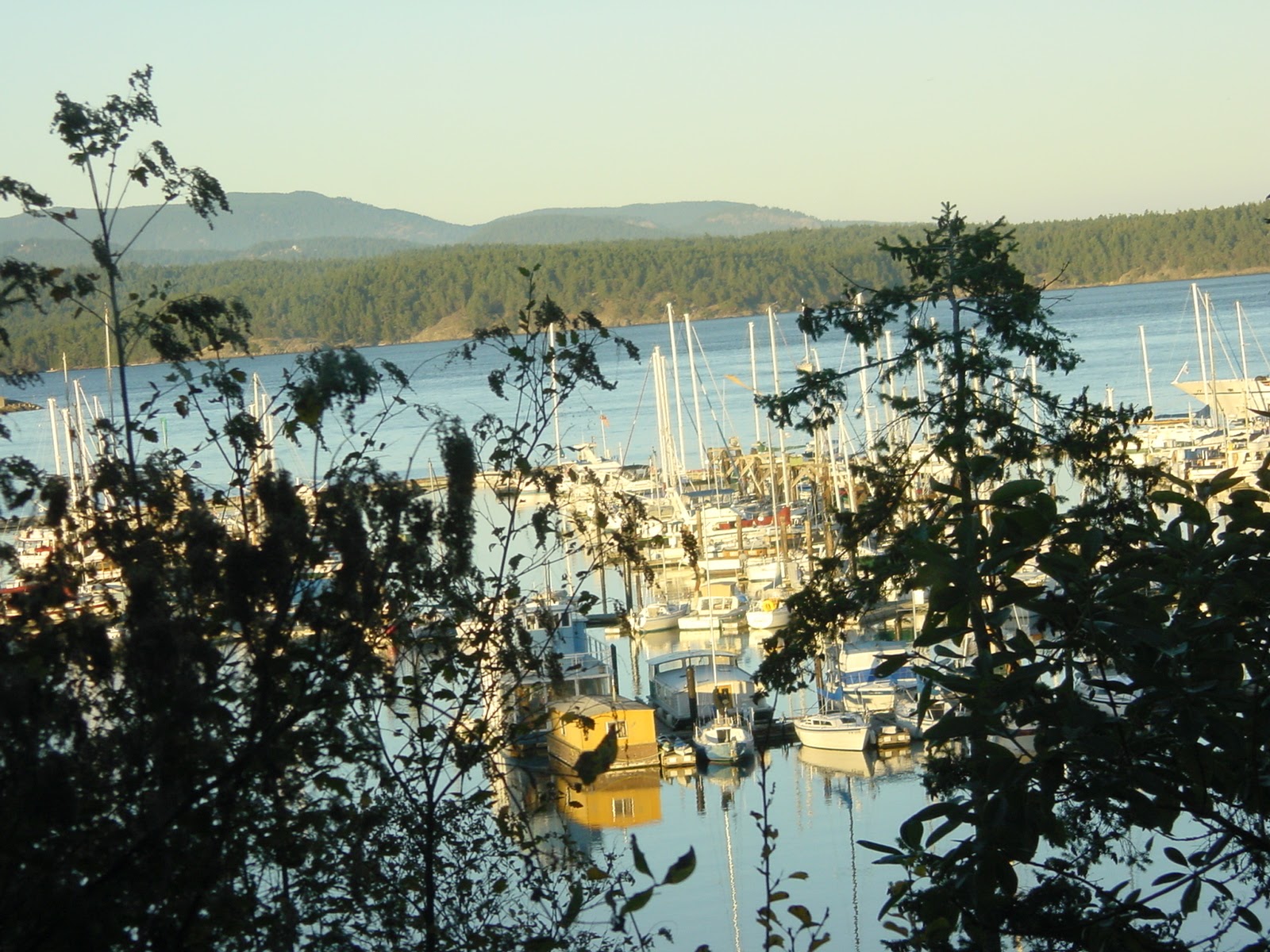 Friday Harbor