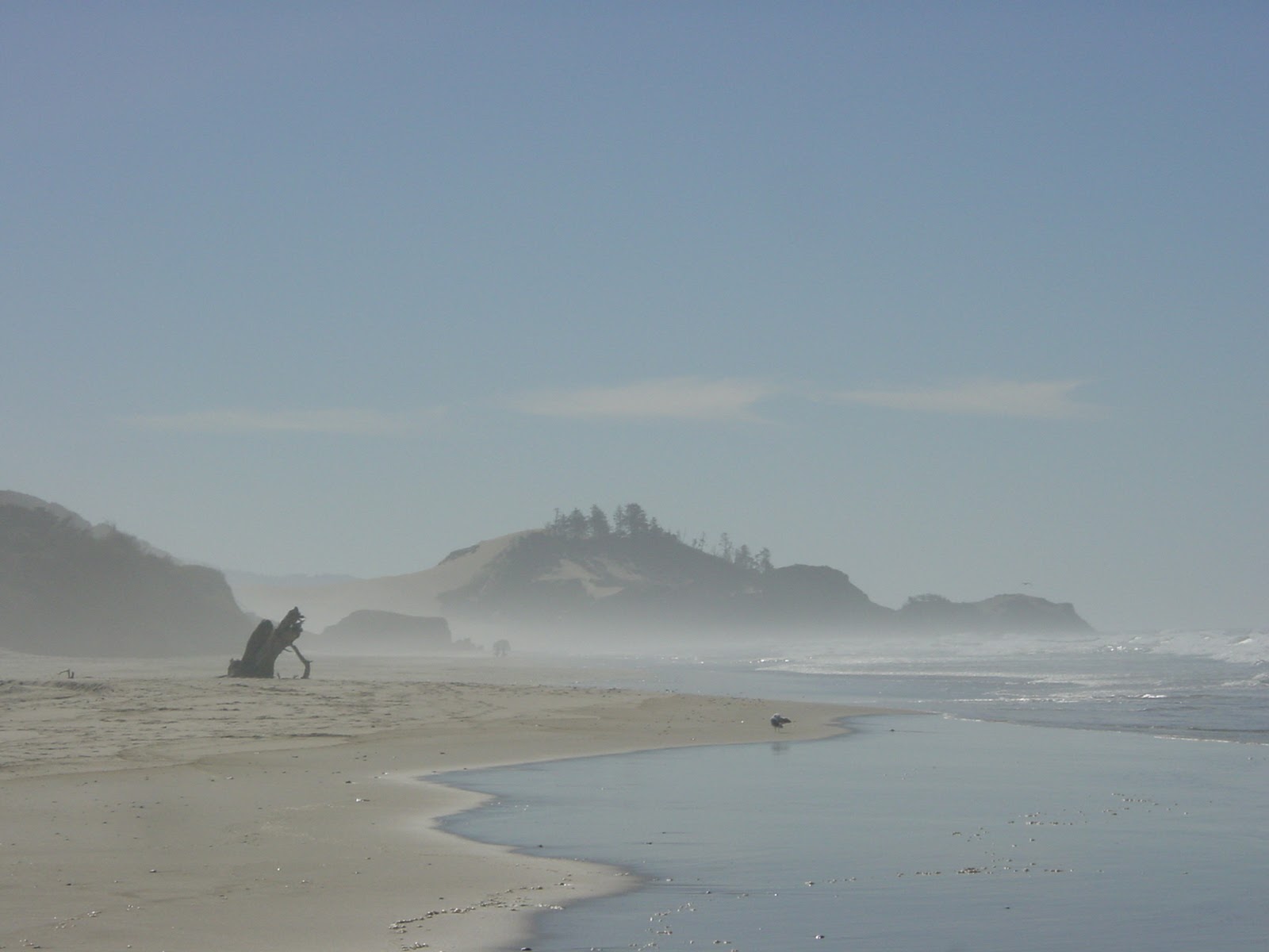 Just off the road. Hwy 1, OR
