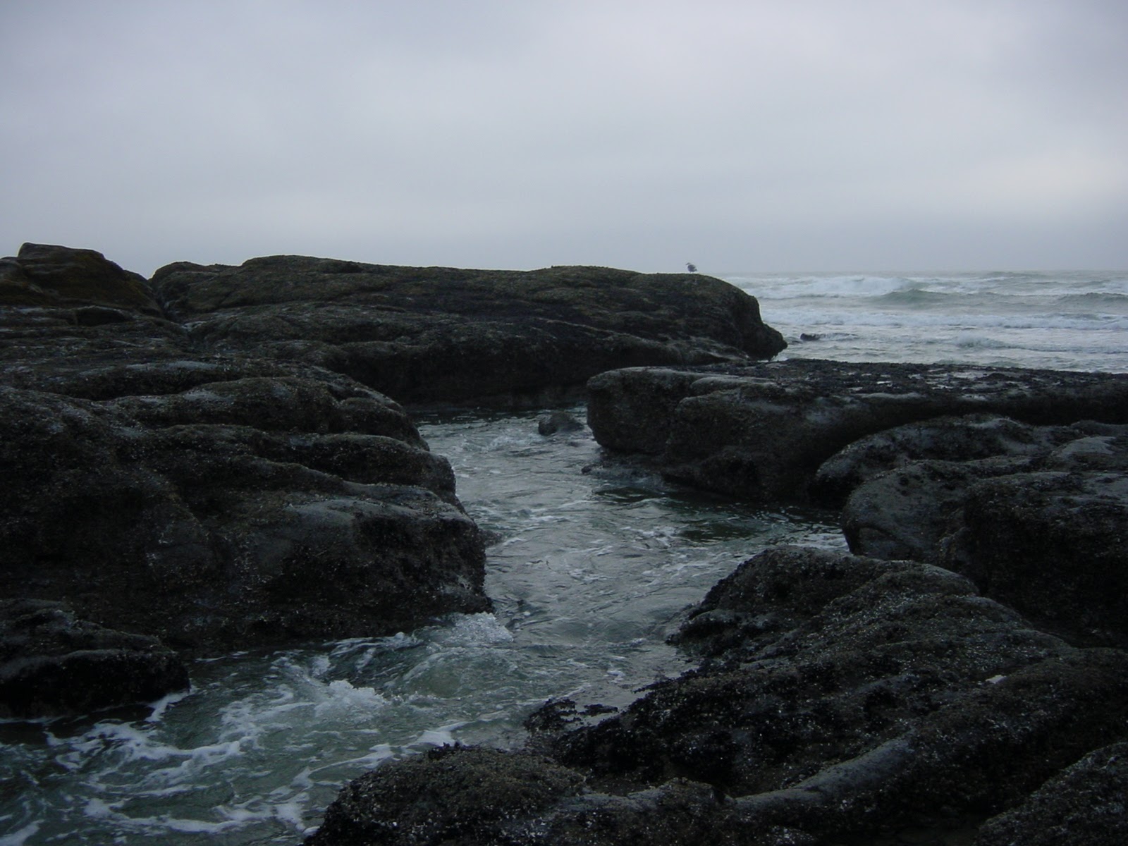 Inlet. Yachats, OR