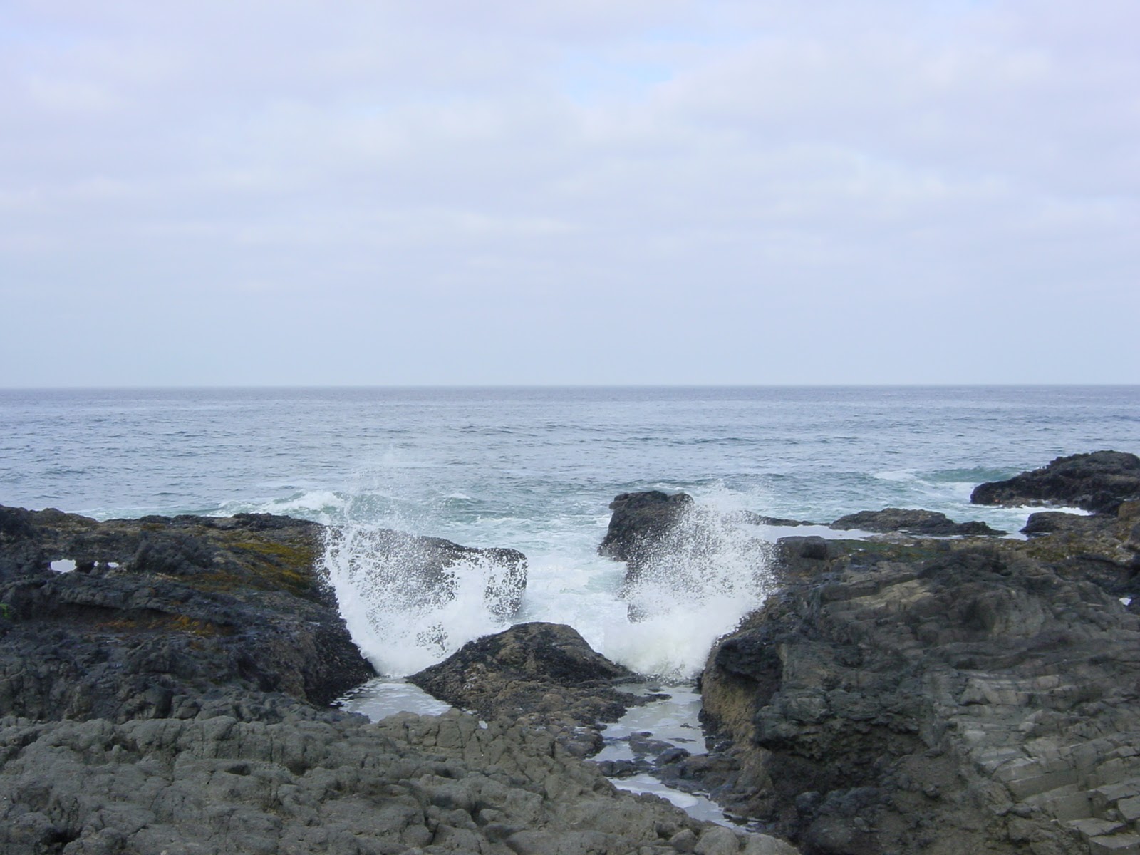 Low tide. Naptune State Park