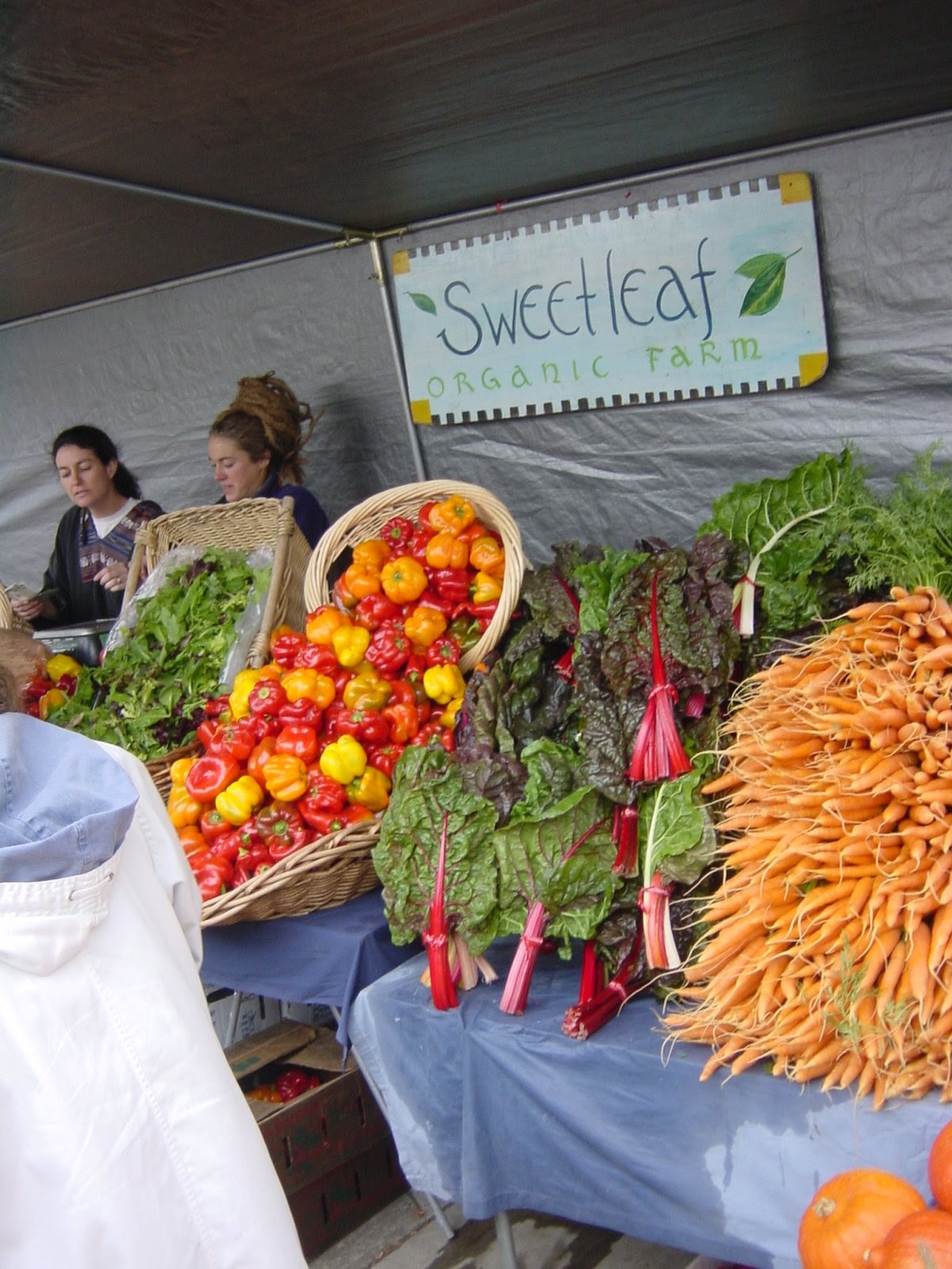 Greenmarket I. Eugene, OR