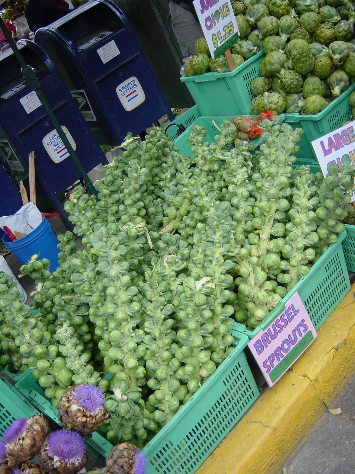 Greenmarket II. Eugene, OR
