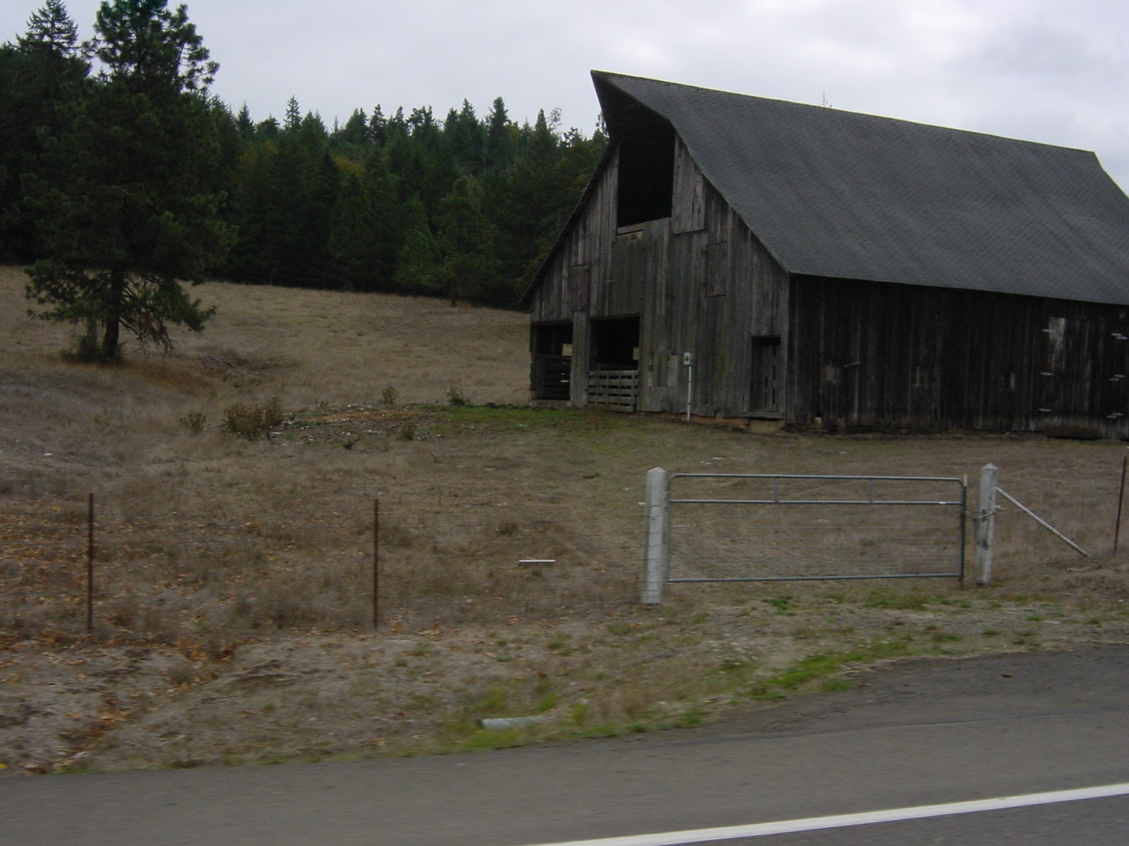 Barn. Southwest of Eugene.