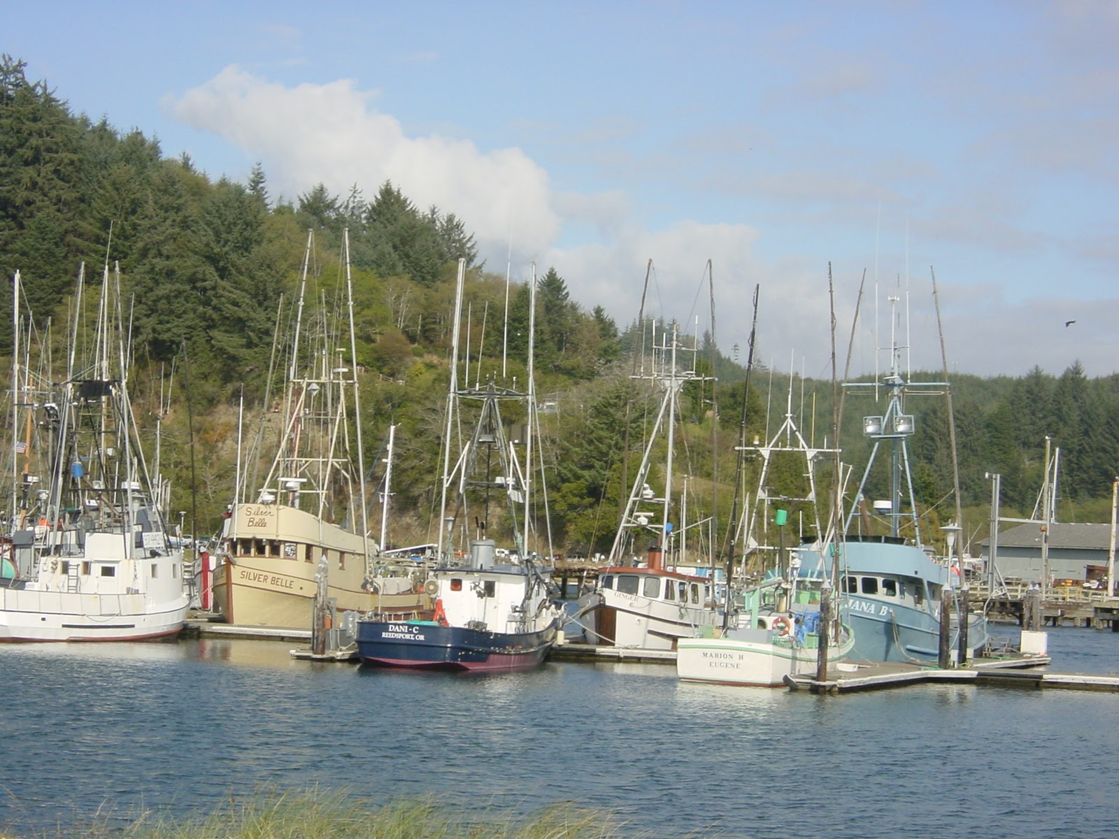 Harbor. Near Reedport, OR