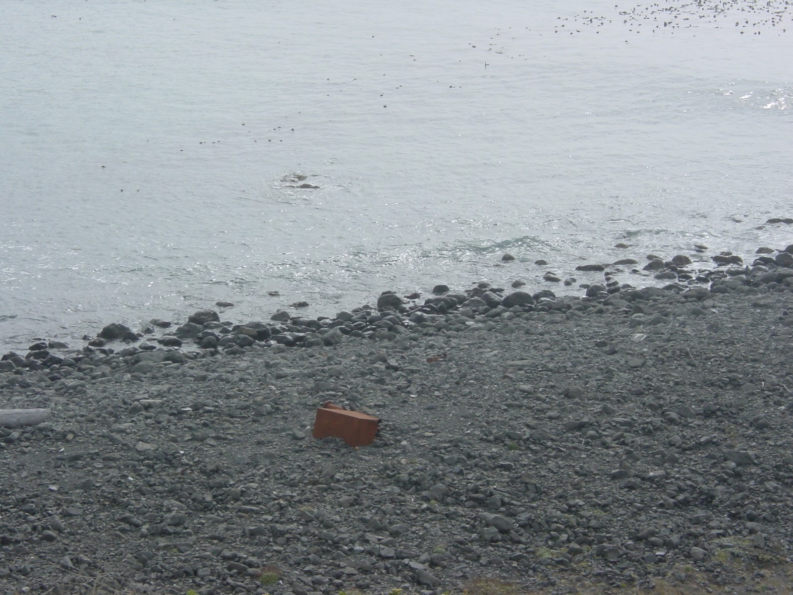 One stray rusty can. Oregon shore
