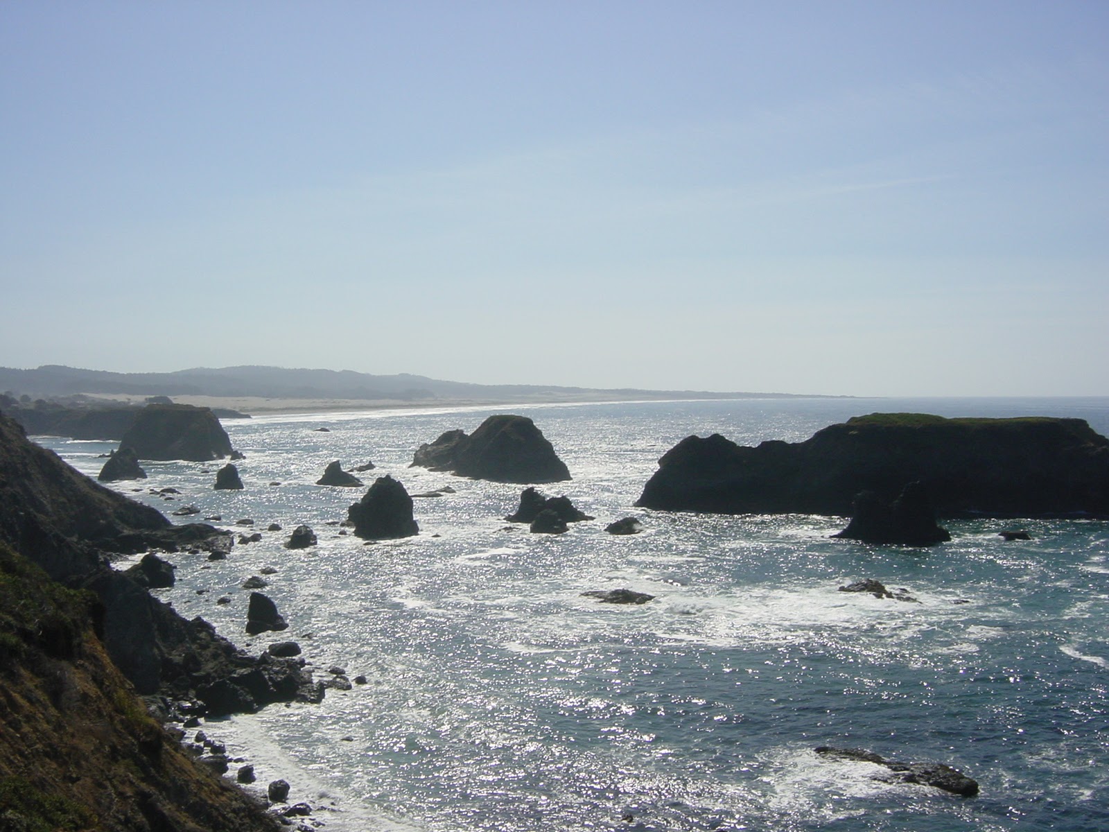 Hwy 1. Near Fort Bragg, CA