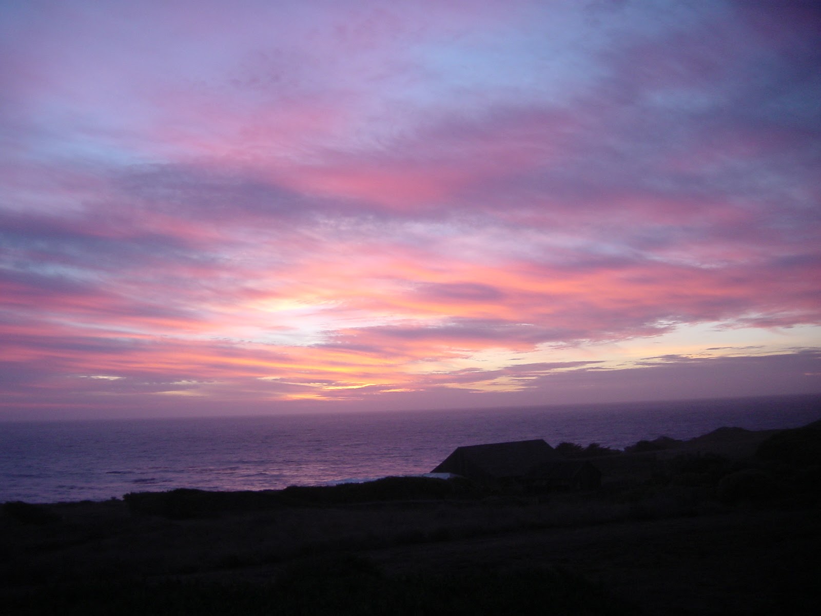 View from the room. Sea Ranch, CA