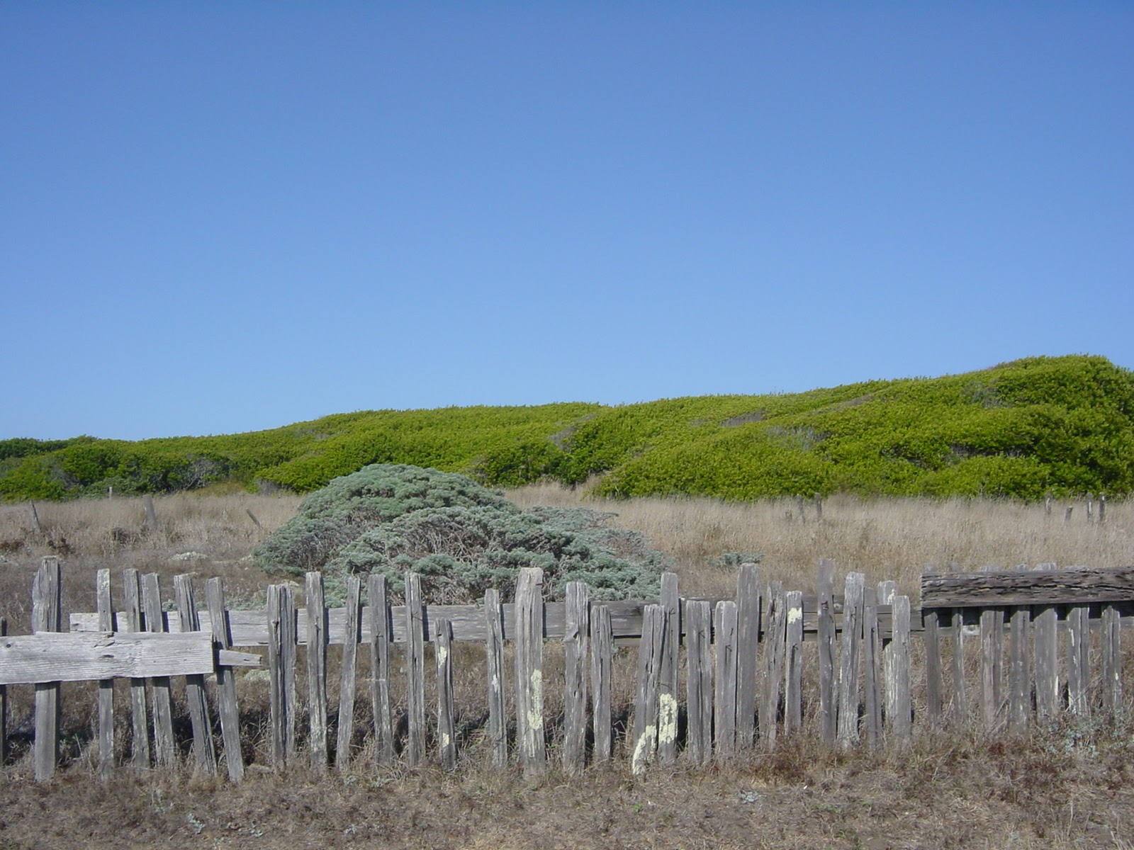 Health. Sea Ranch, CA