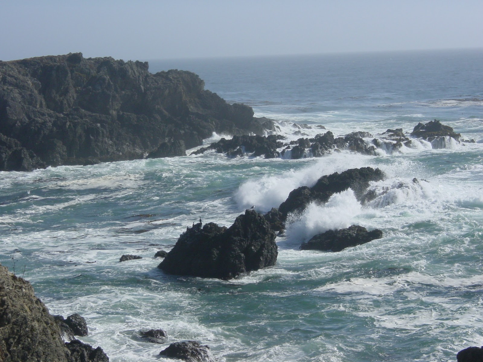 Coast II. Sea Ranch, CA