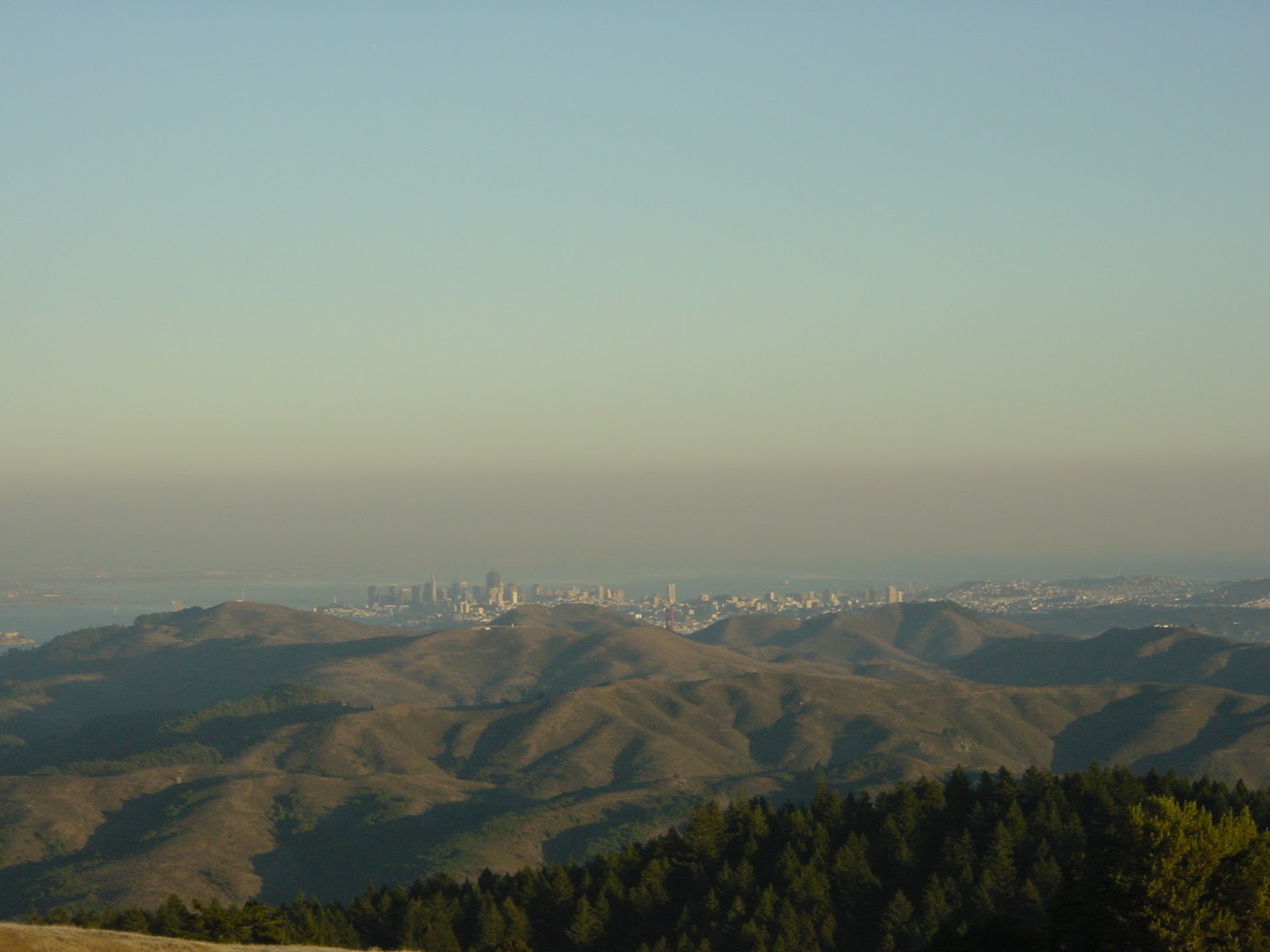 Looking downtown. Mt. Tamalpais, CA