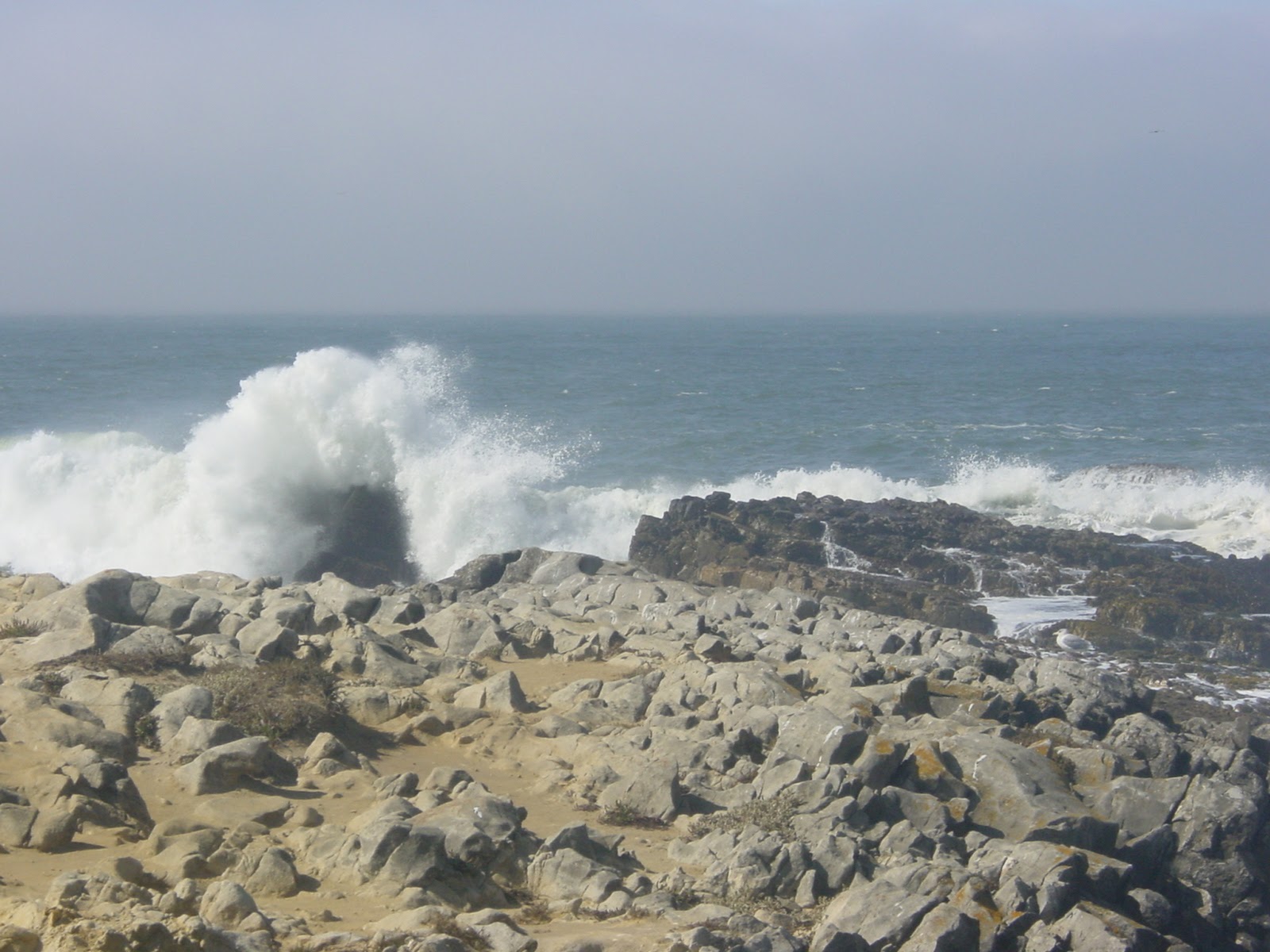 Crashing Wave. North of Santa Cruz, CA