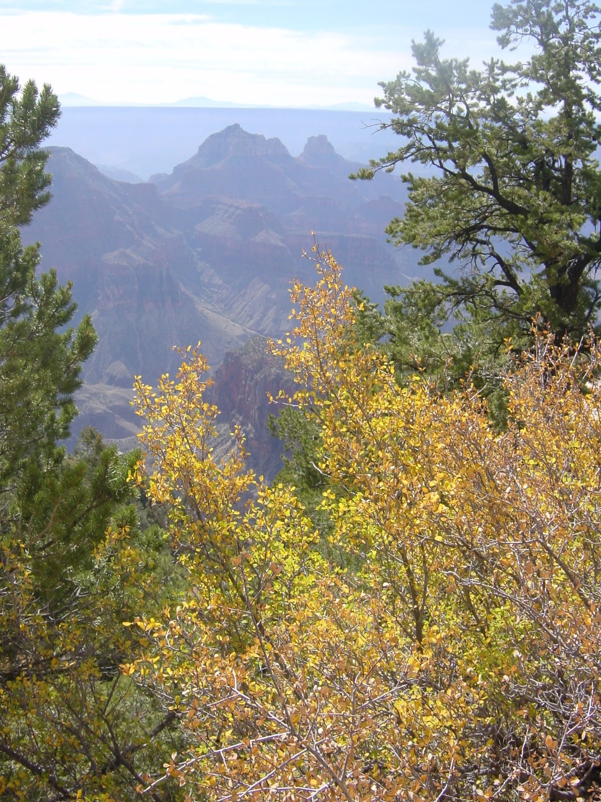 Looking in to the Canyon
